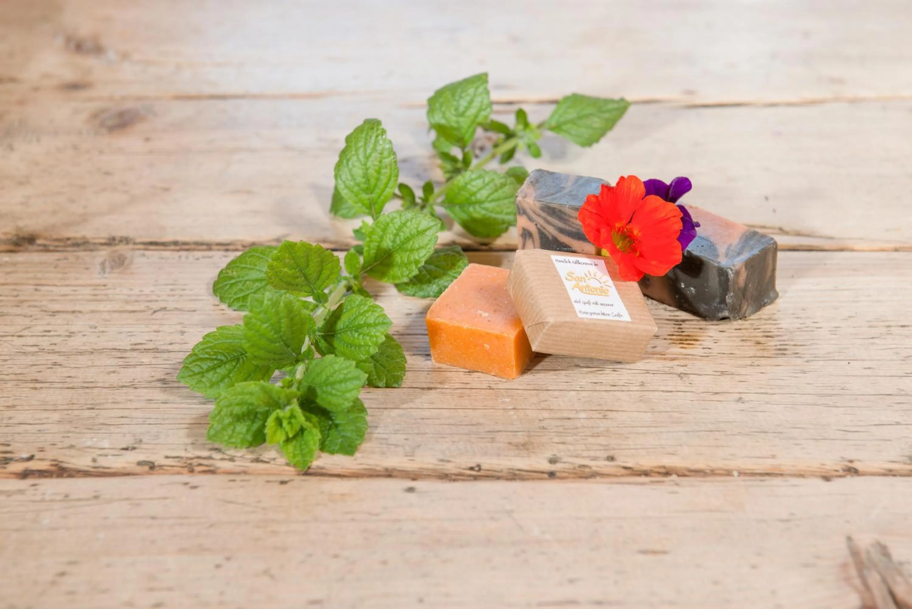 Other in Apart Hotel San Antonio