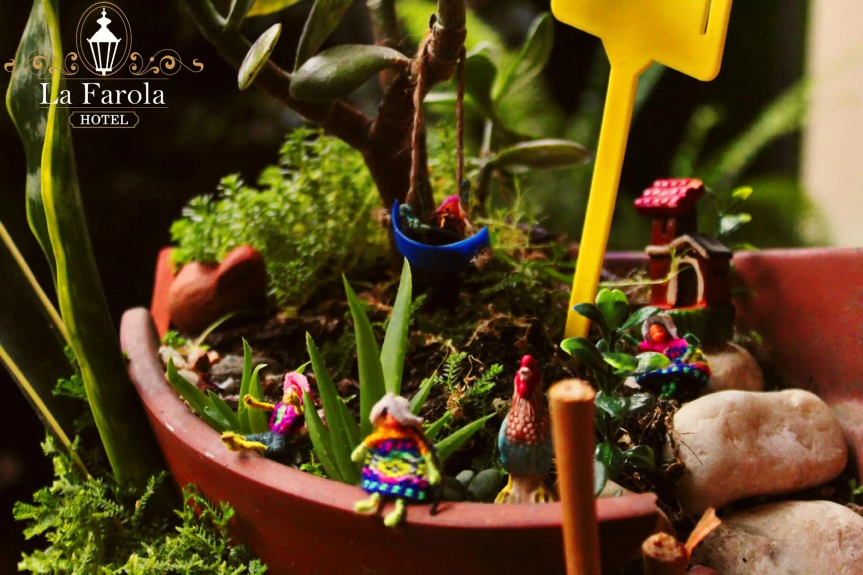 Garden in Hotel La Farola