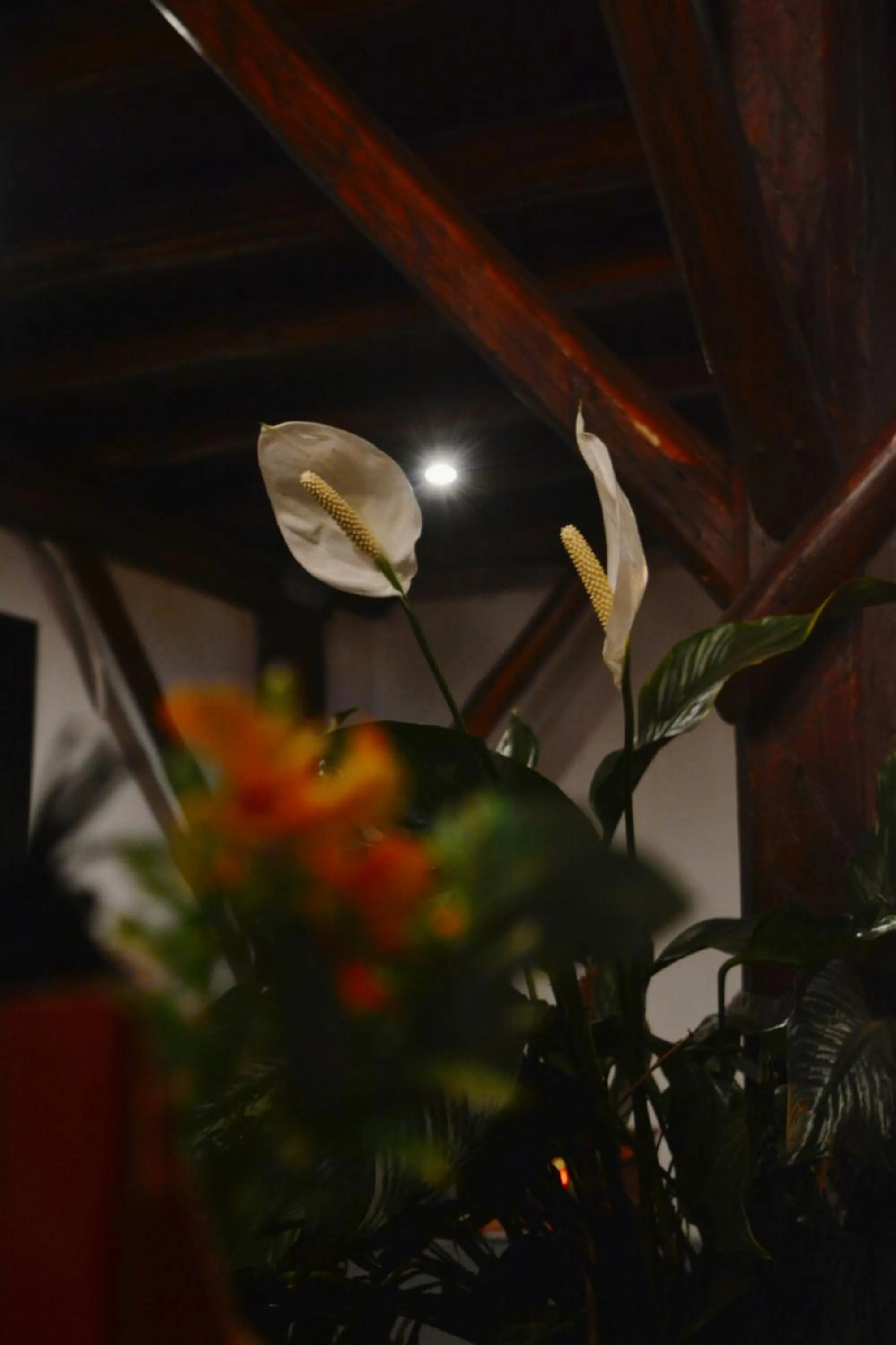 Living room in Hotel La Farola