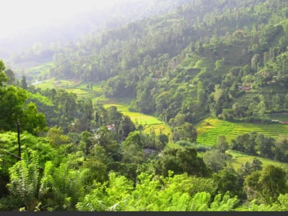 Balcony/Terrace in Ornateview Hotel