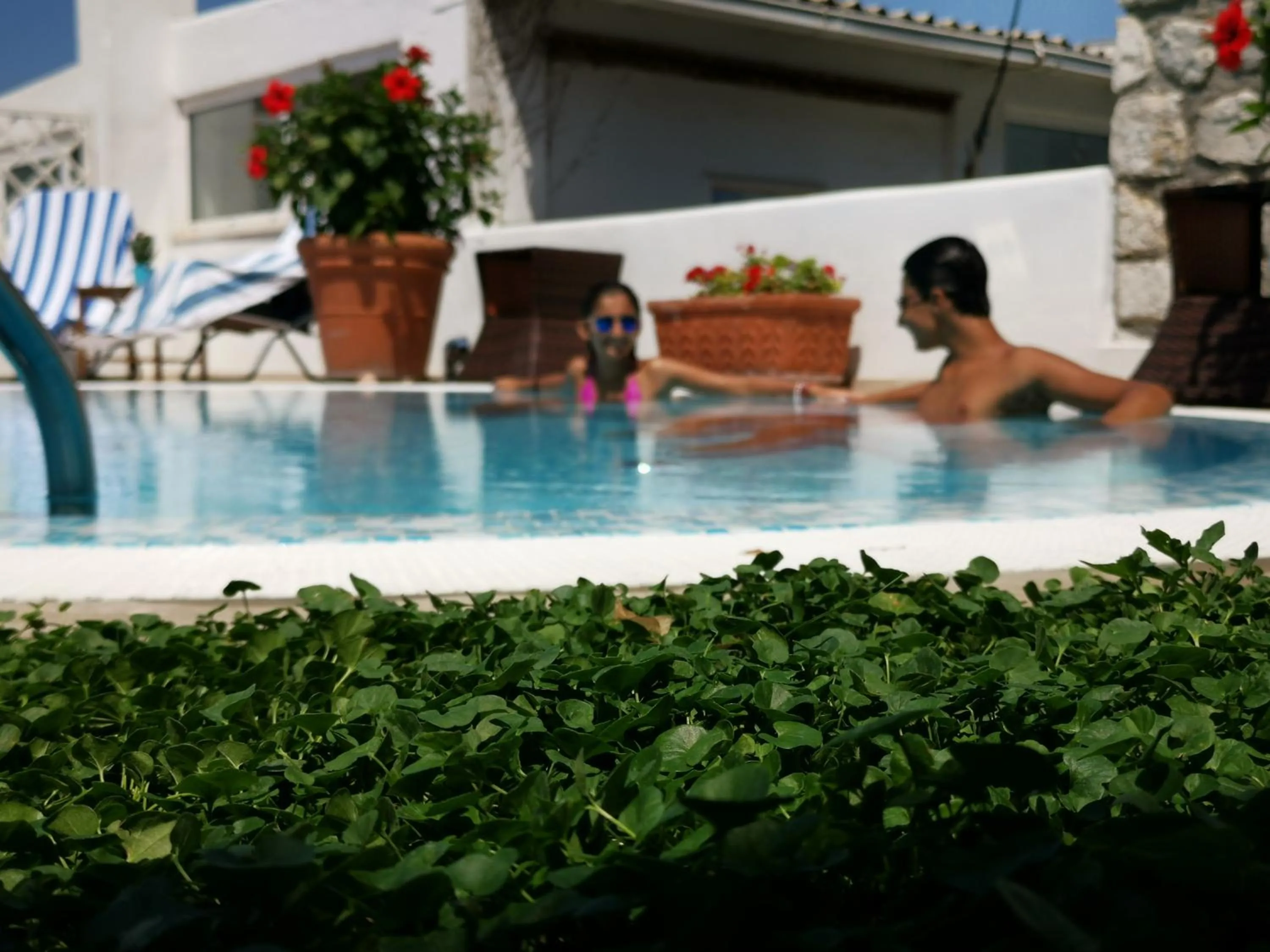 Swimming pool in Villa Patrizi