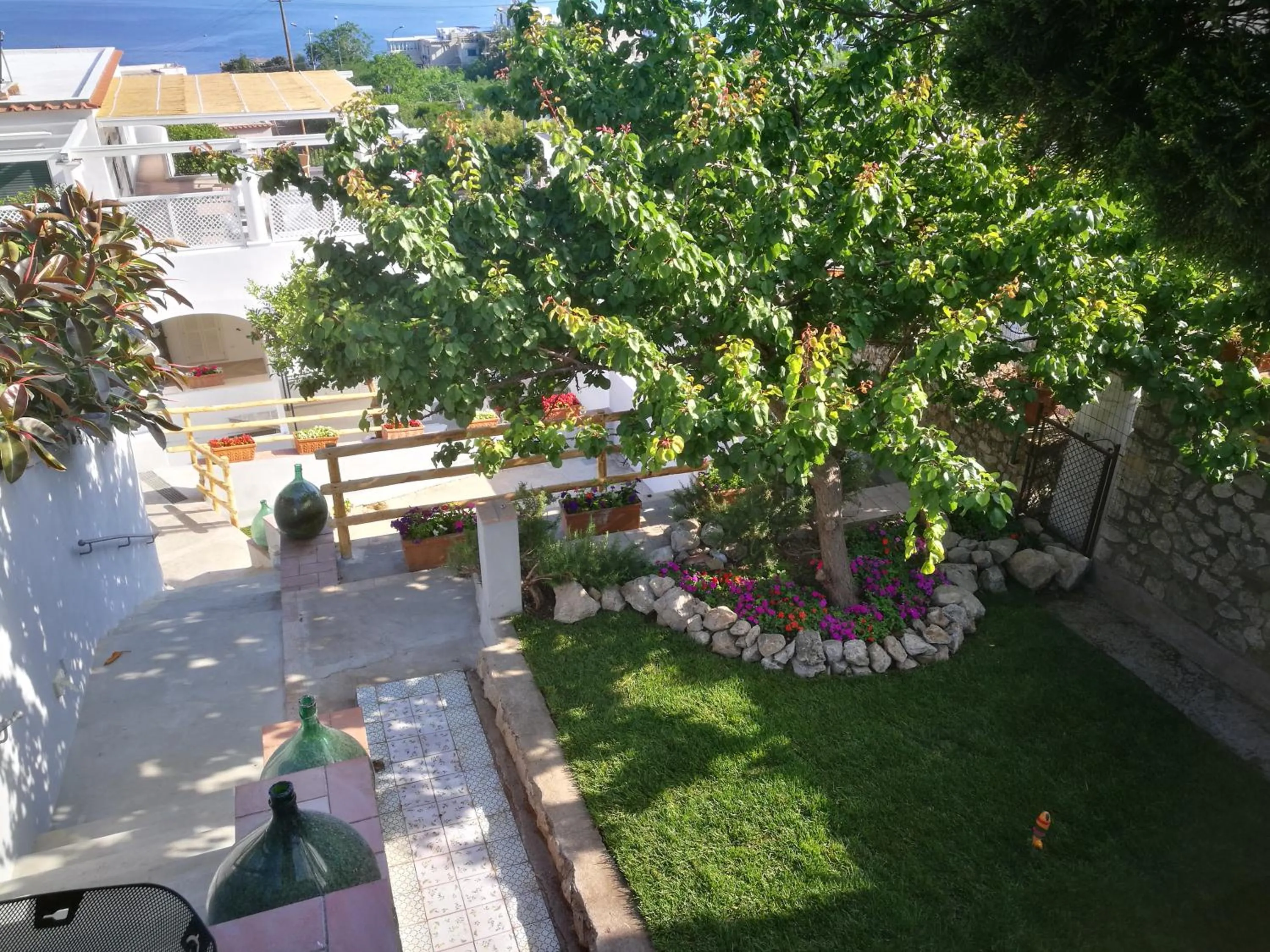 Garden in Villa Patrizi