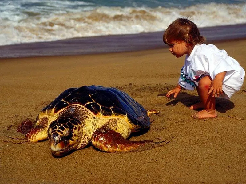 Day in Minta Apartments