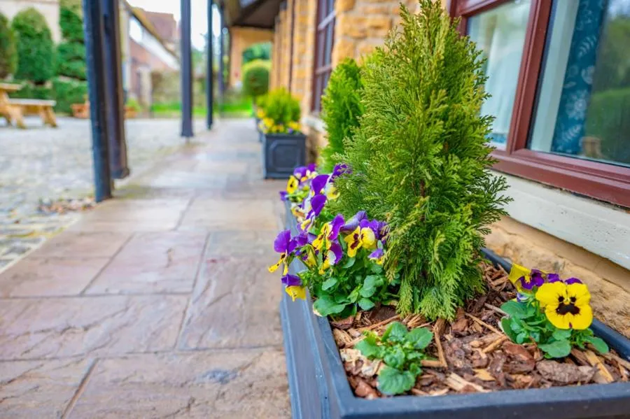 Property building in The Cosener's House