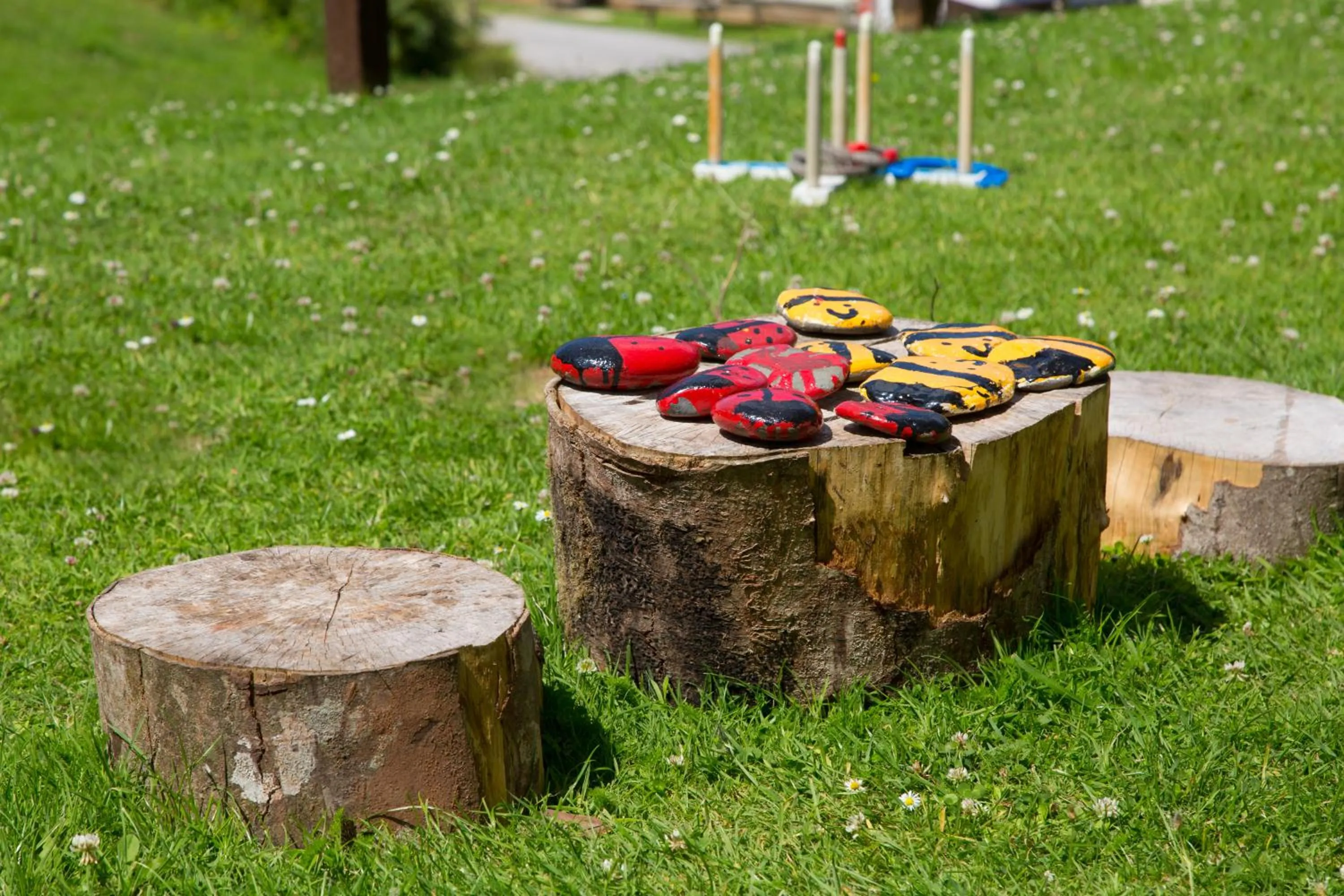 Entertainment in Bovisand Lodge Holiday Park, Beachside Location & Indoor Heated Pool