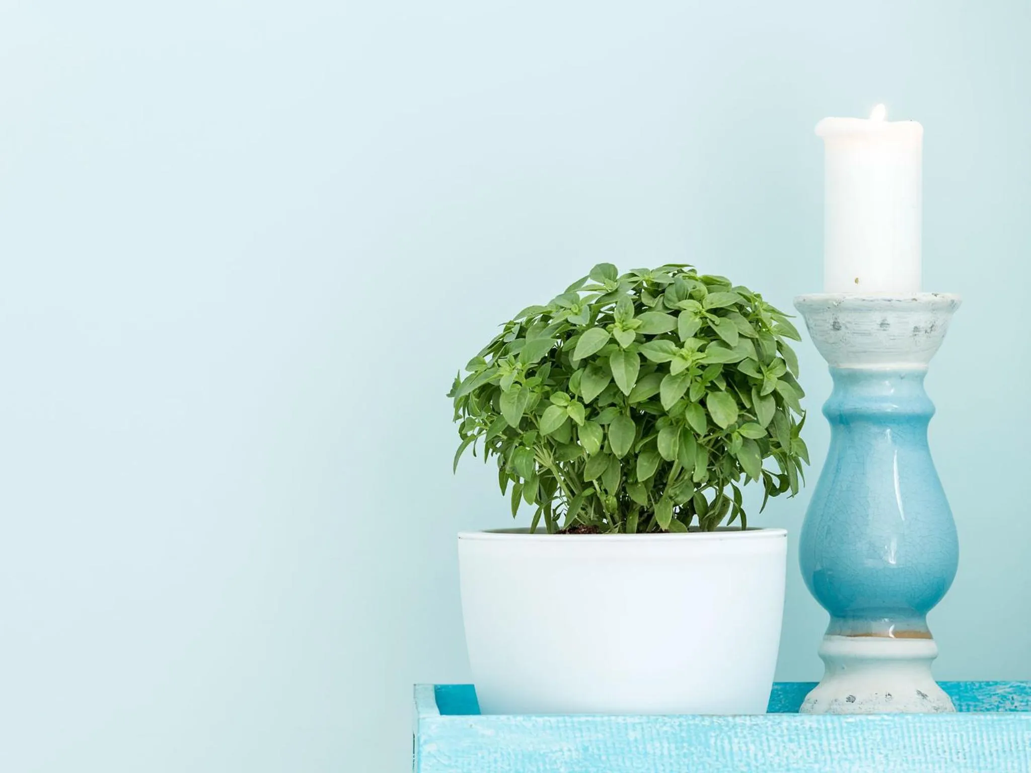 Decorative detail in Paradise Design Apartments