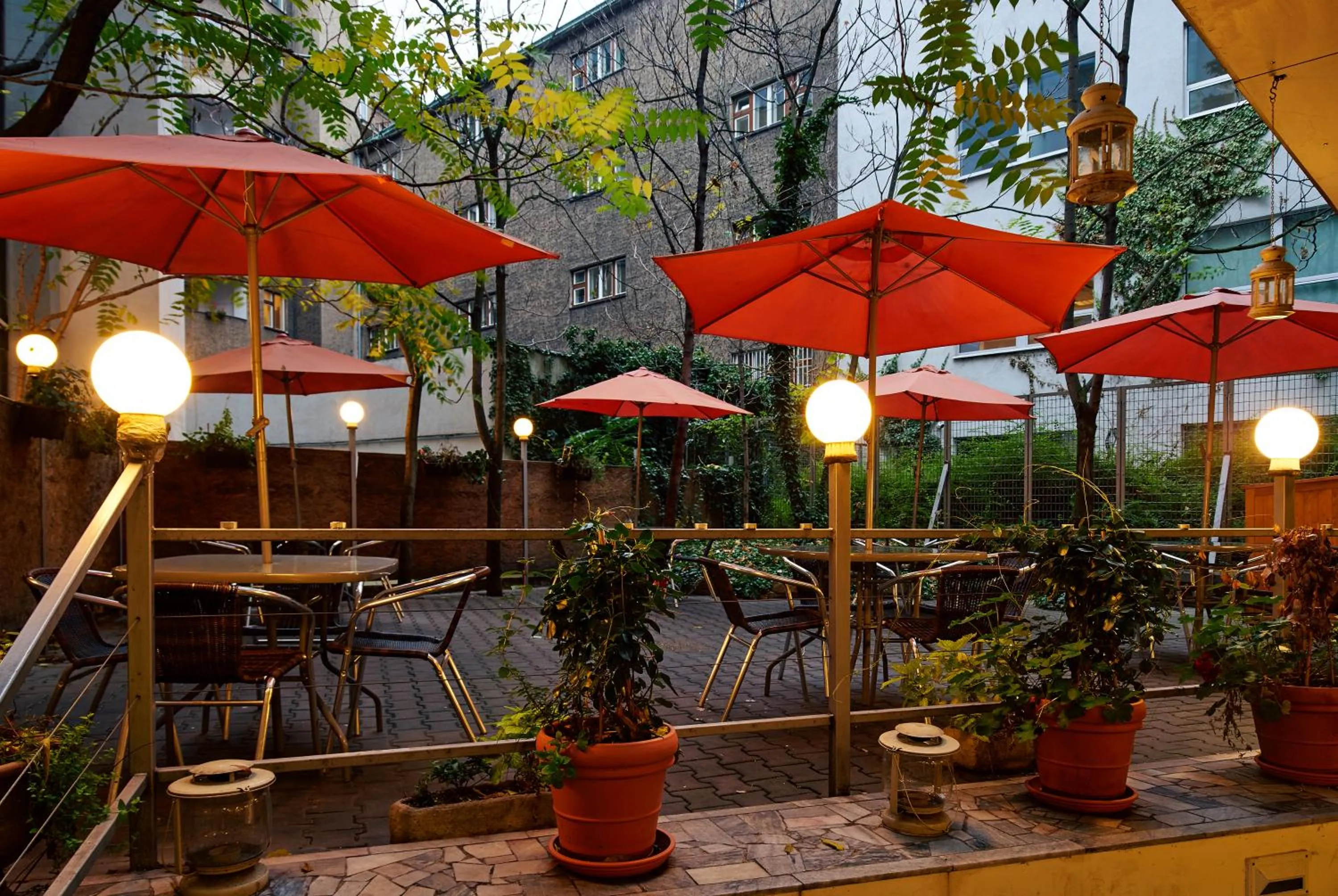 Garden in Hotel Ankora