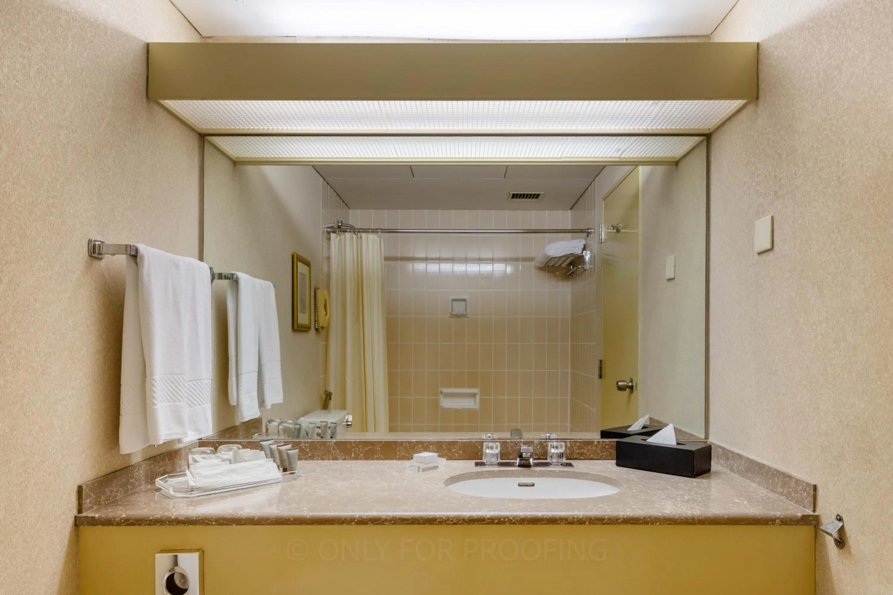 Shower in Hilton Colombo Hotel