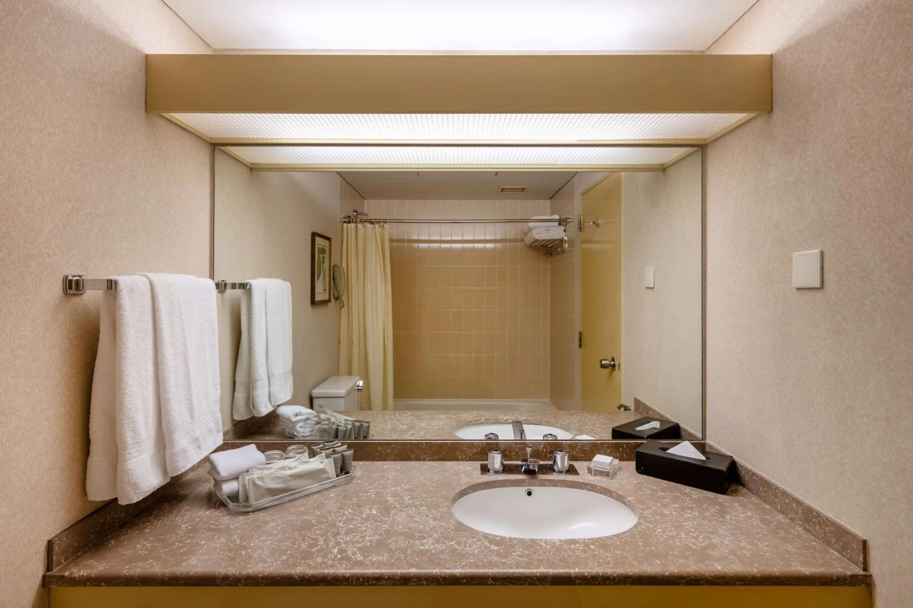 Shower in Hilton Colombo Hotel