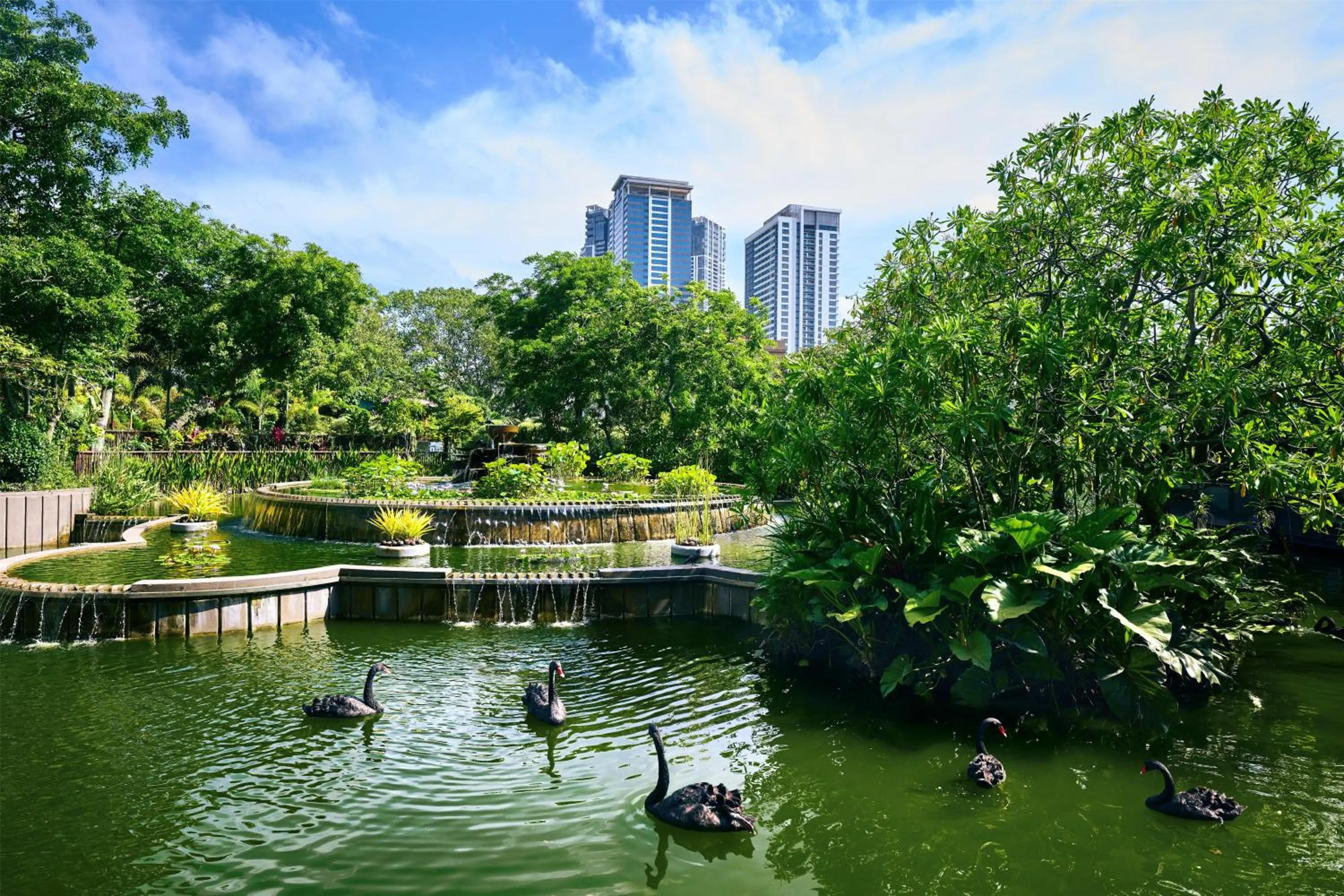 Garden in Hilton Colombo Hotel