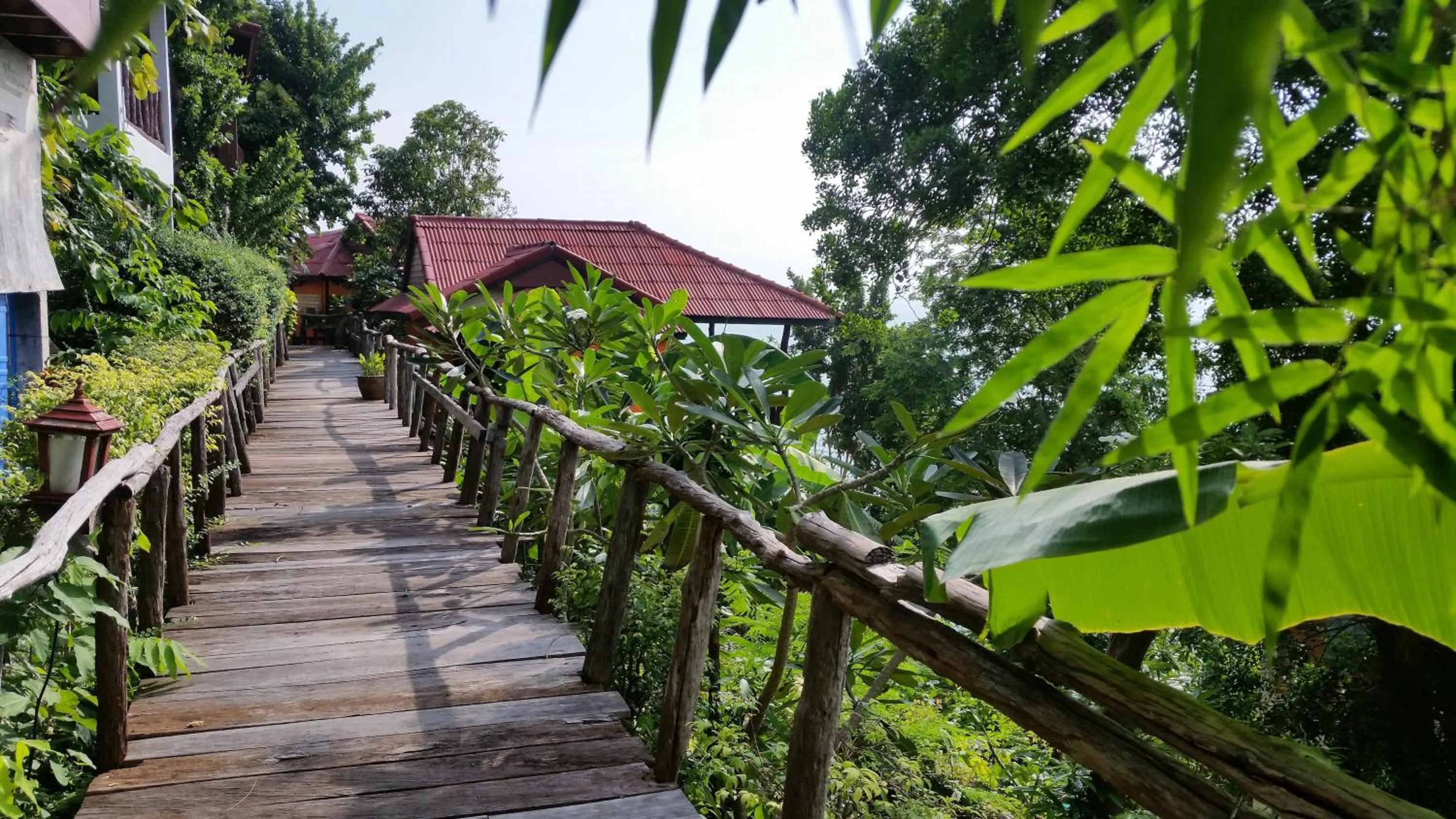 Garden in Sea Breeze Resort - SHA Plus