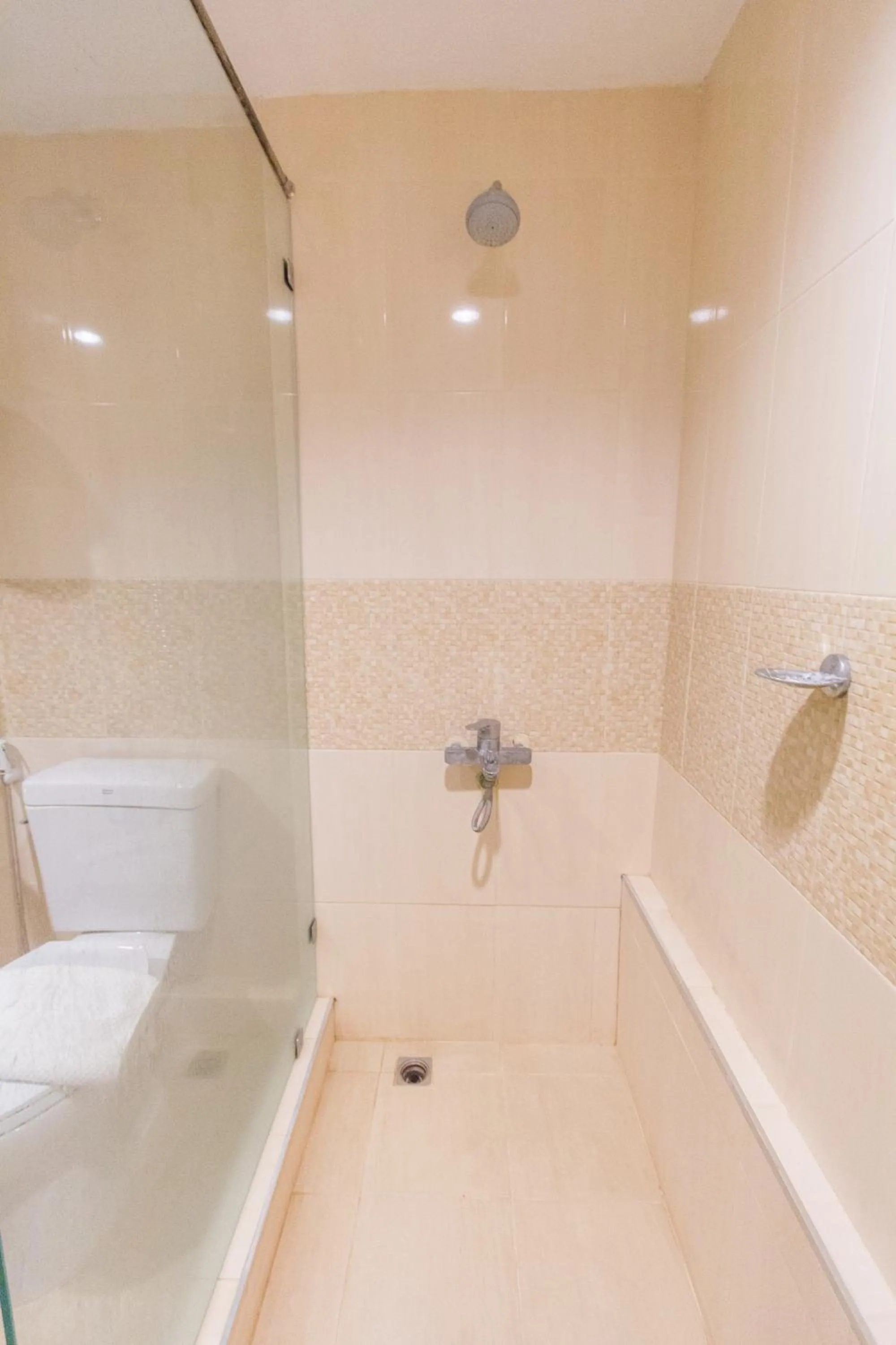 Shower in BP Chiangmai City Hotel