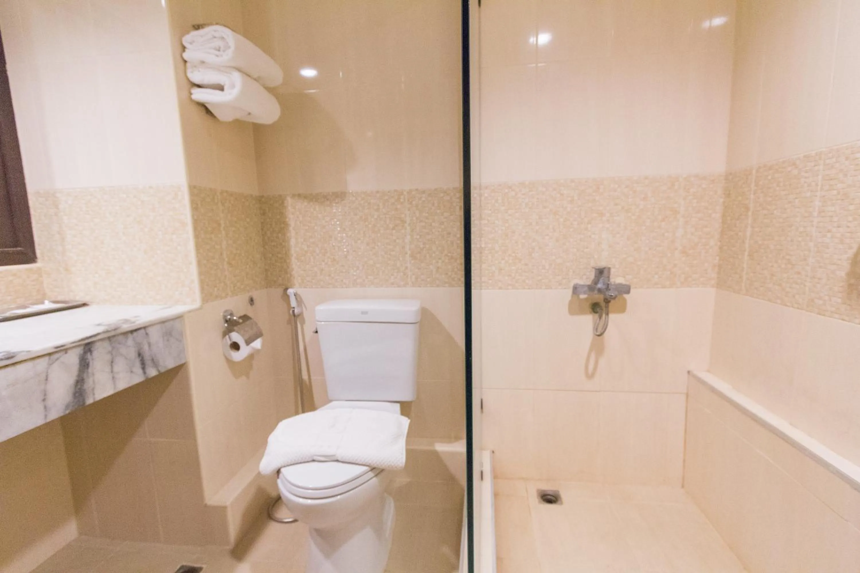 Shower in BP Chiangmai City Hotel