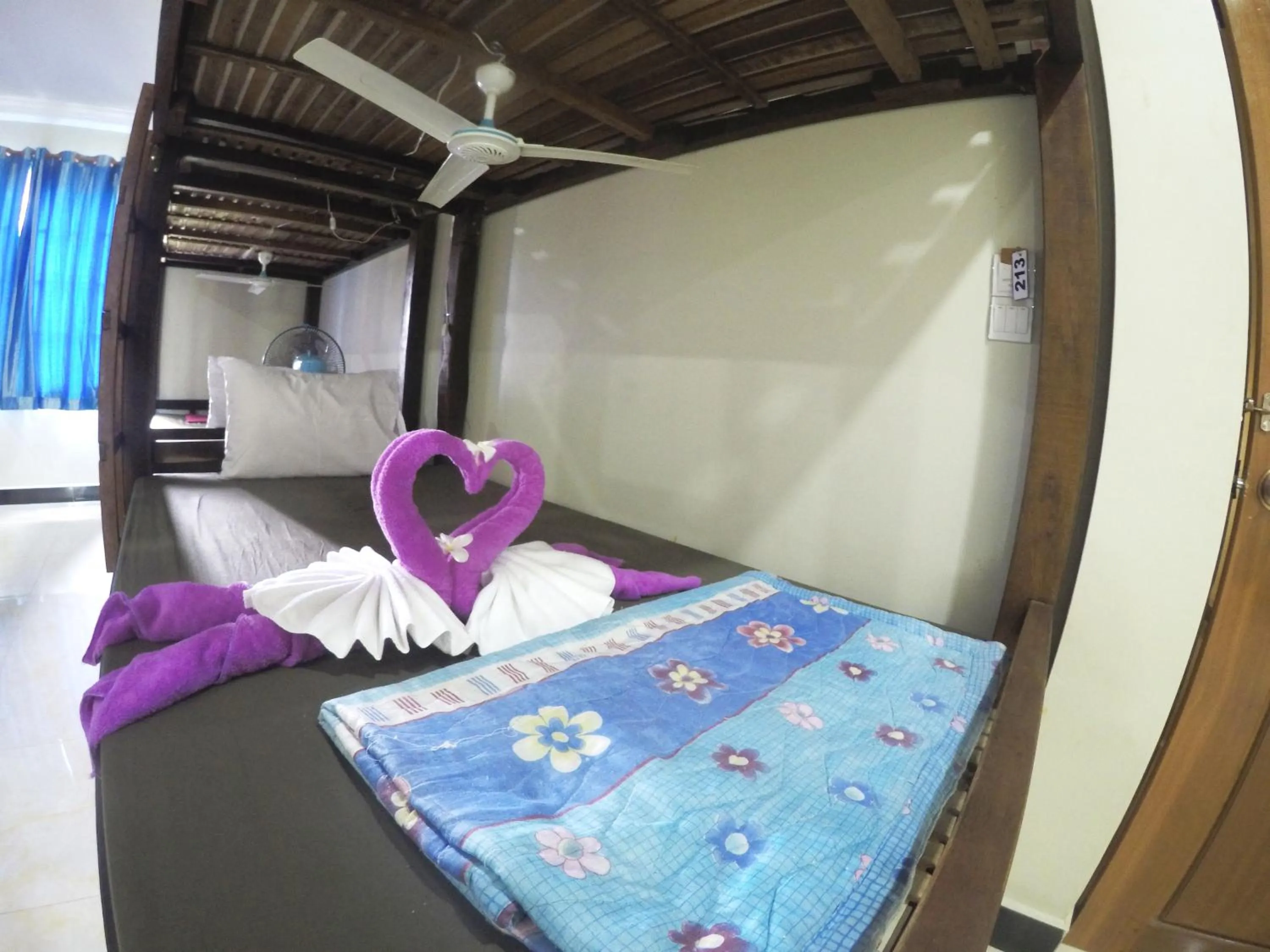 bunk bed, Bed in Blue Diamond Hostel