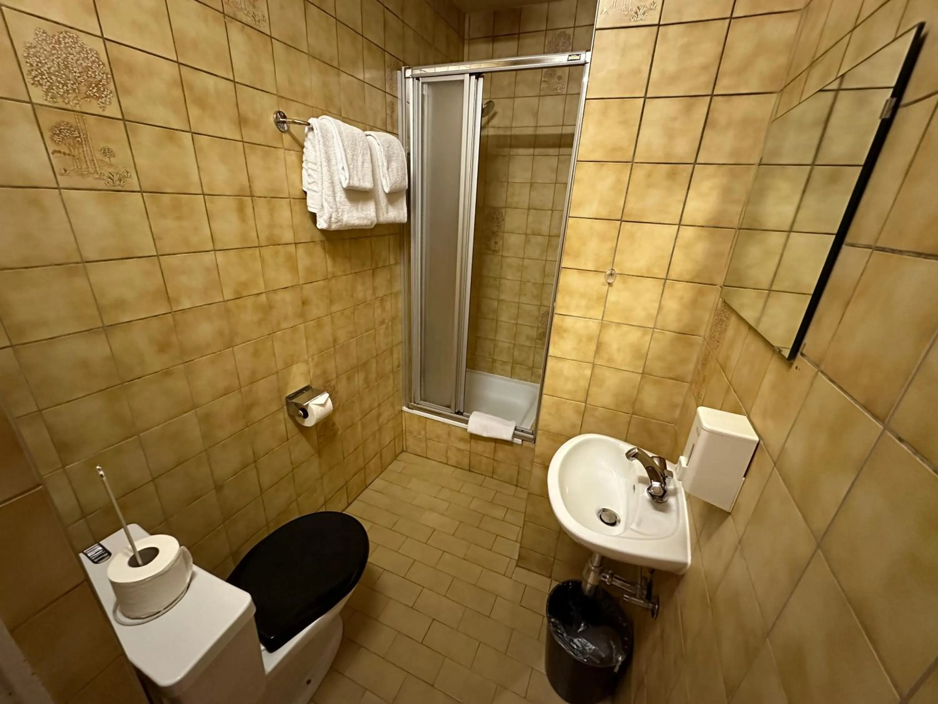 Shower in Hotel des Tourelles