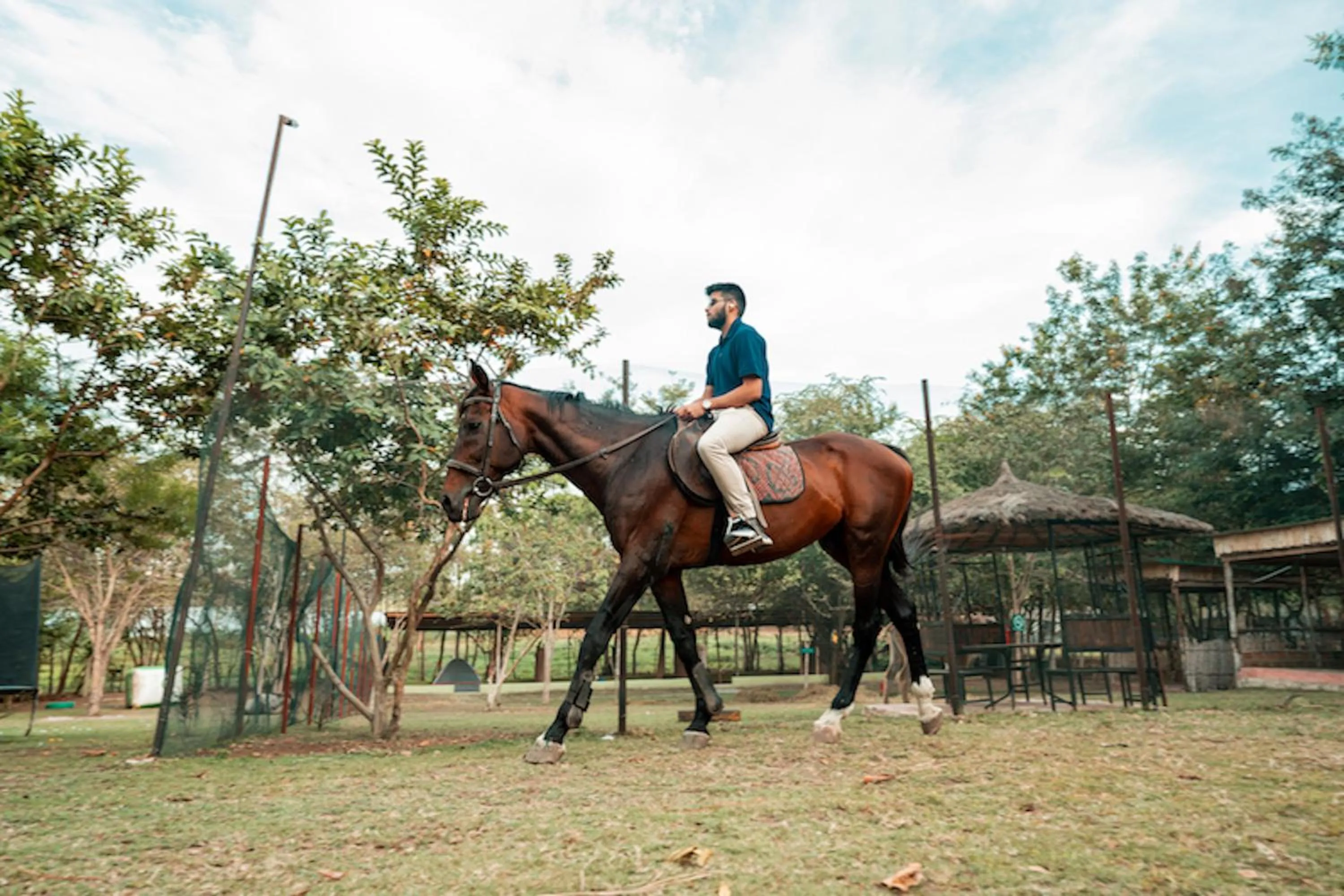 Horse-riding in Wag Hill Lodge & Spa