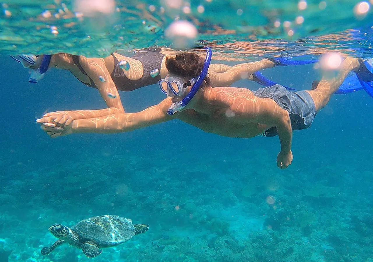 Snorkeling in Naladhu Private Island Maldives