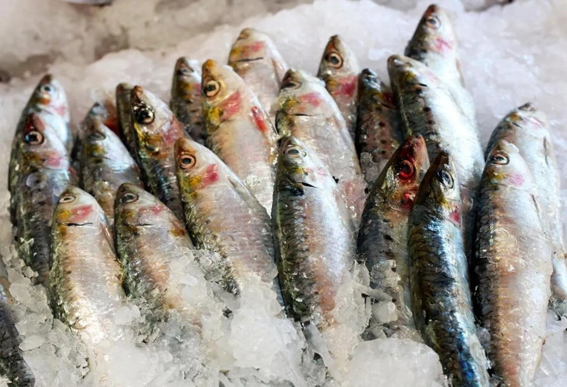 Restaurant/places to eat in Hotel Gri-Mar