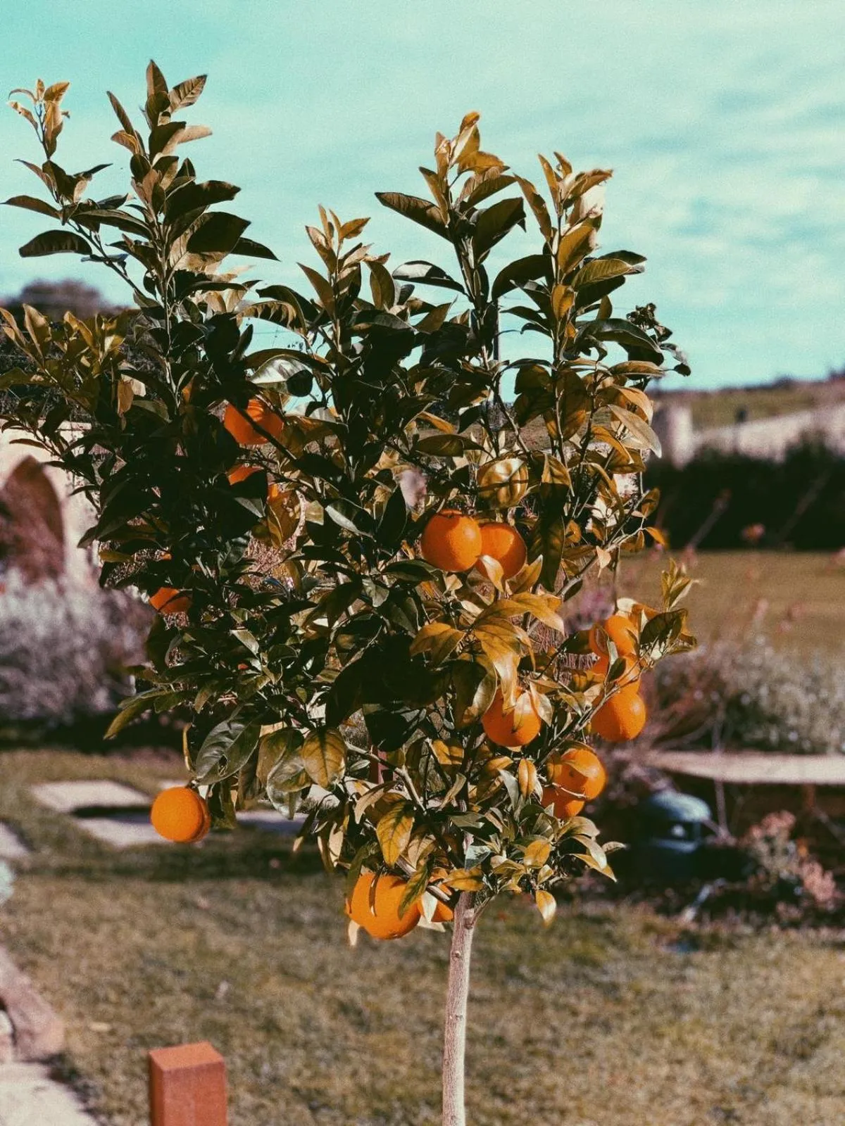 La Fuentona de Santillana