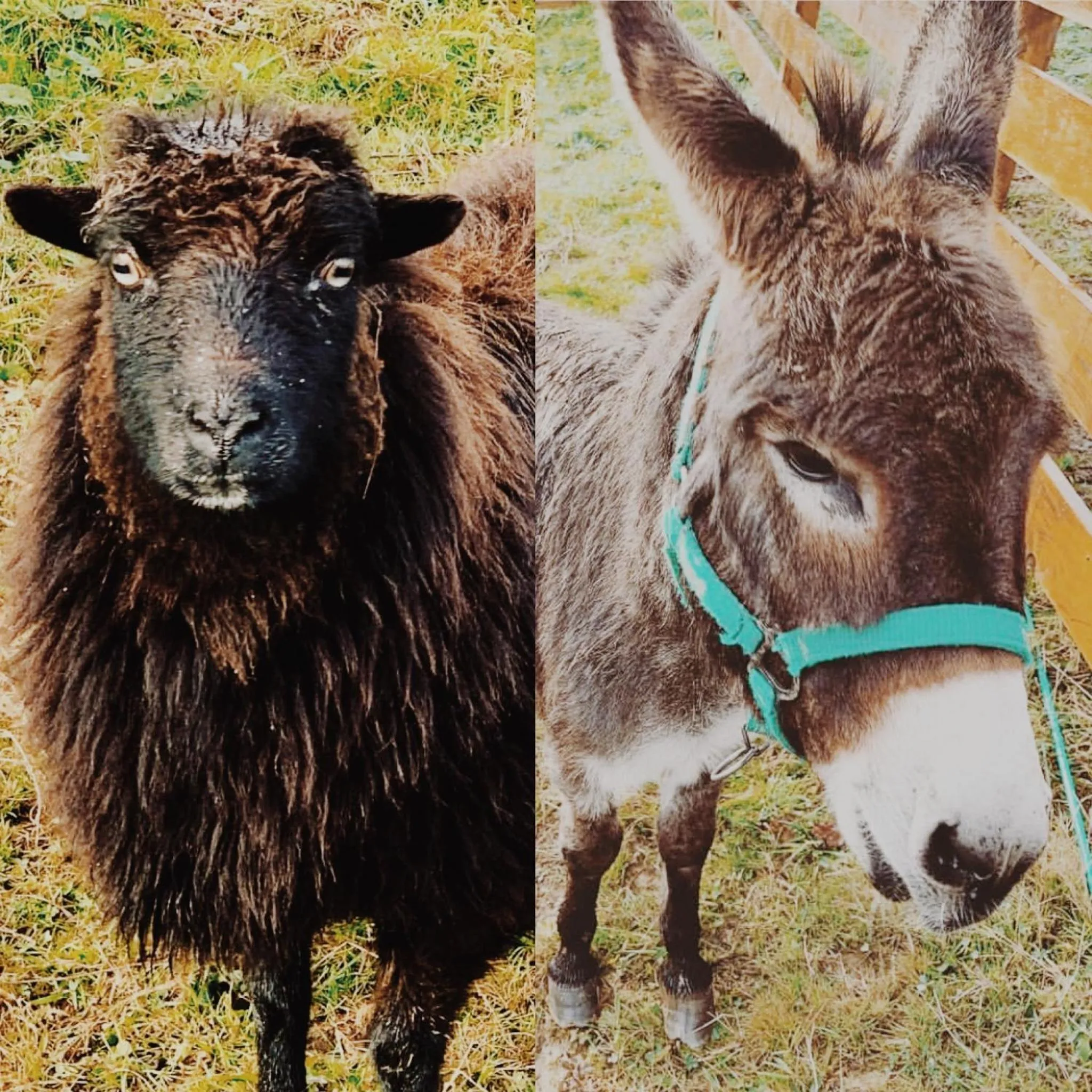 La Fuentona de Santillana