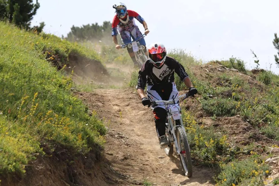 Les Blanches Provençales