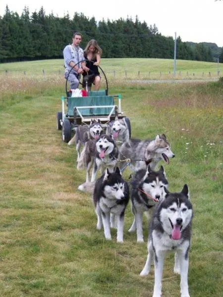 Les Blanches Provençales