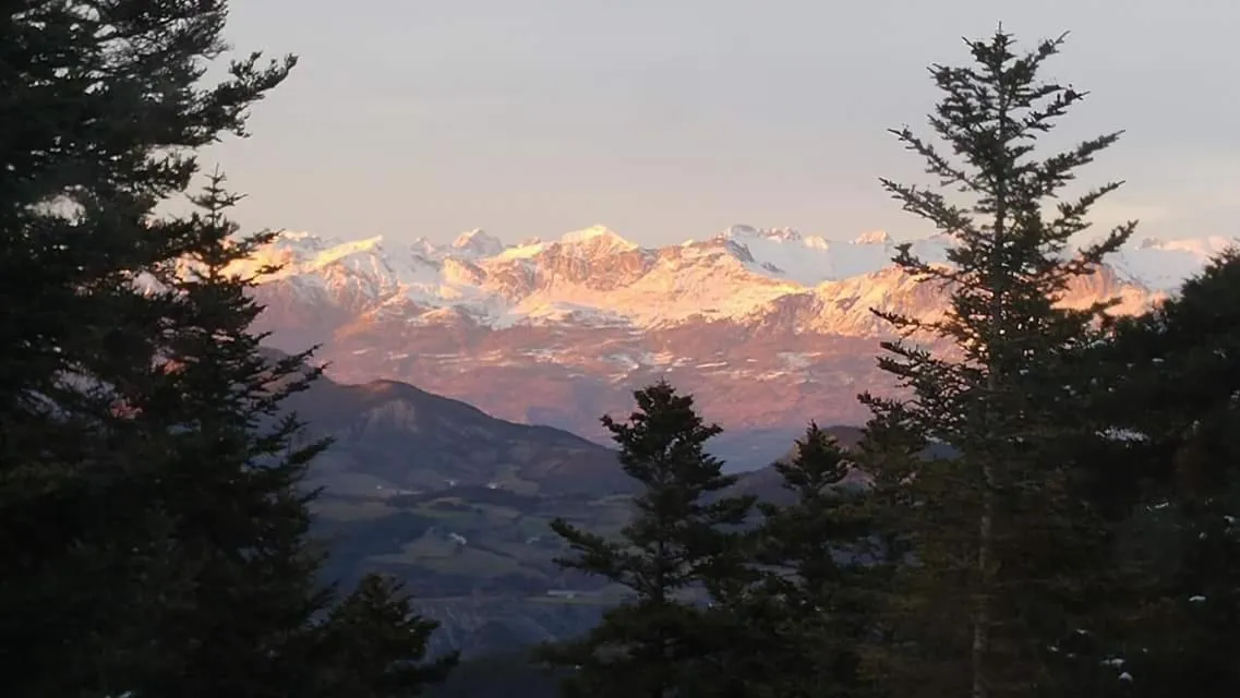 Les Blanches Provençales