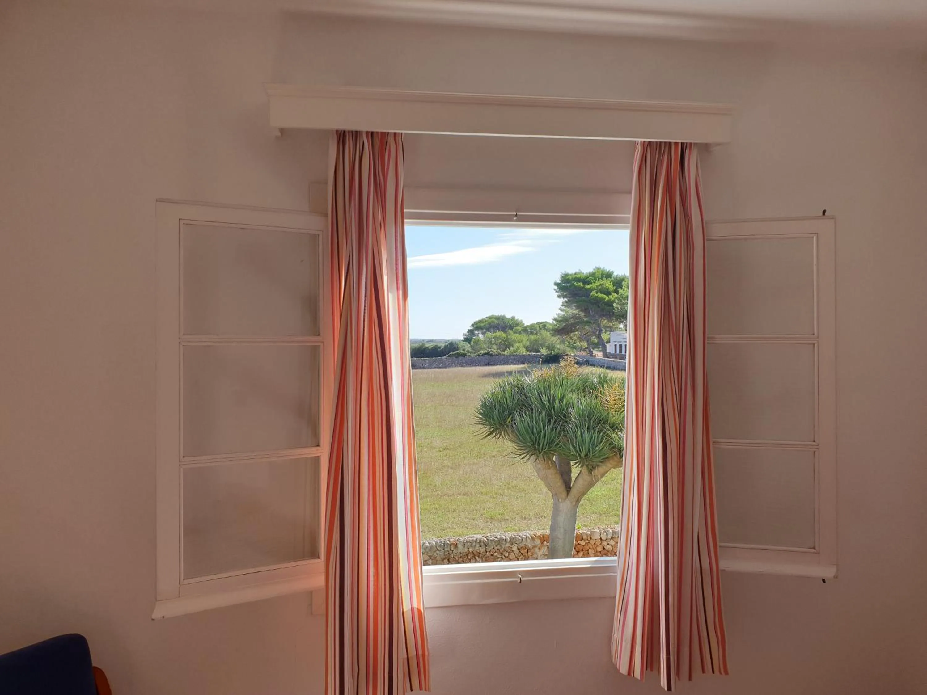 Garden view in Apartamentos Piscis