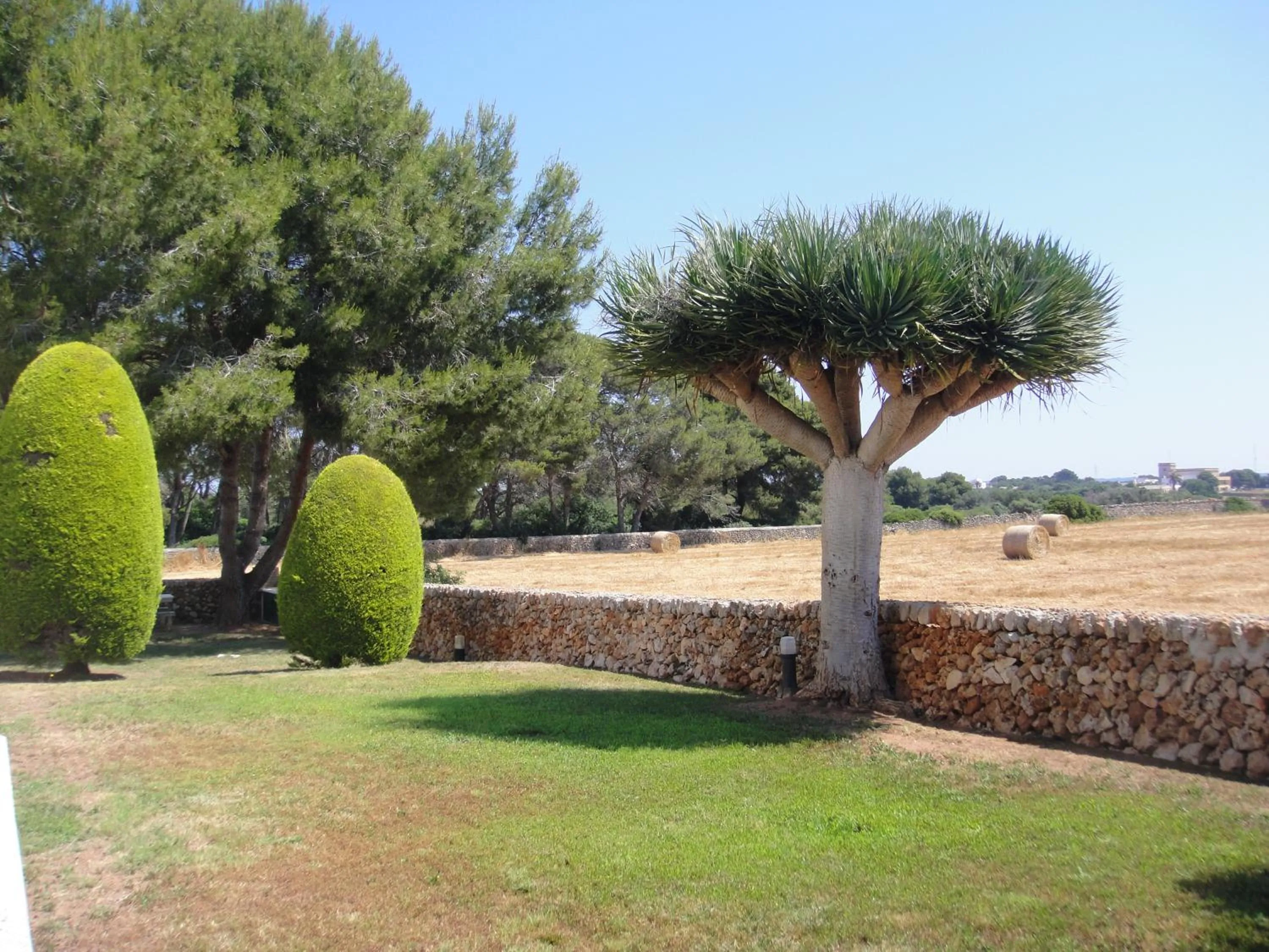 Garden in Apartamentos Piscis