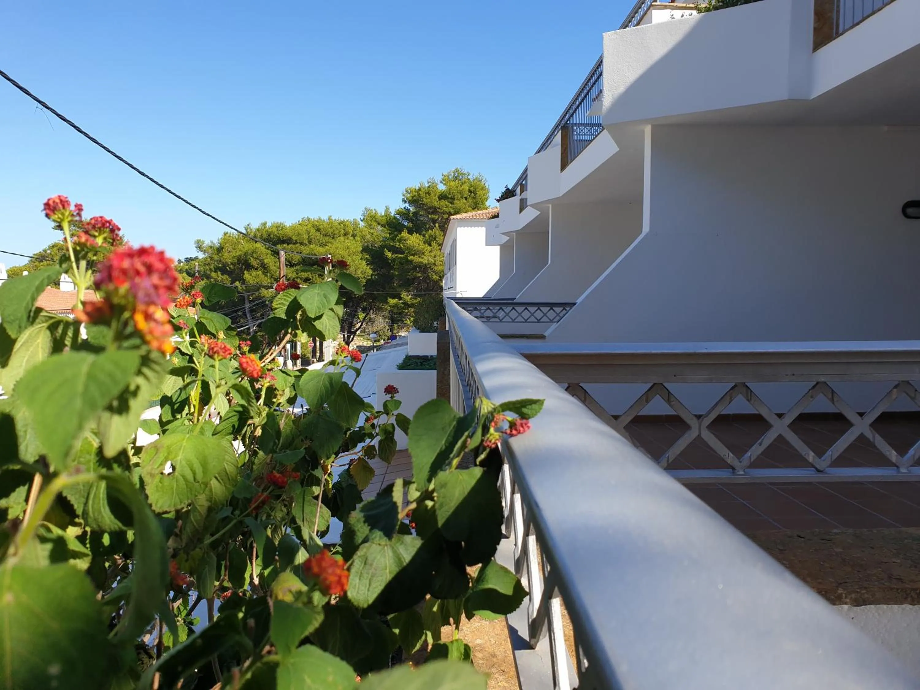 Street view in Apartamentos Piscis