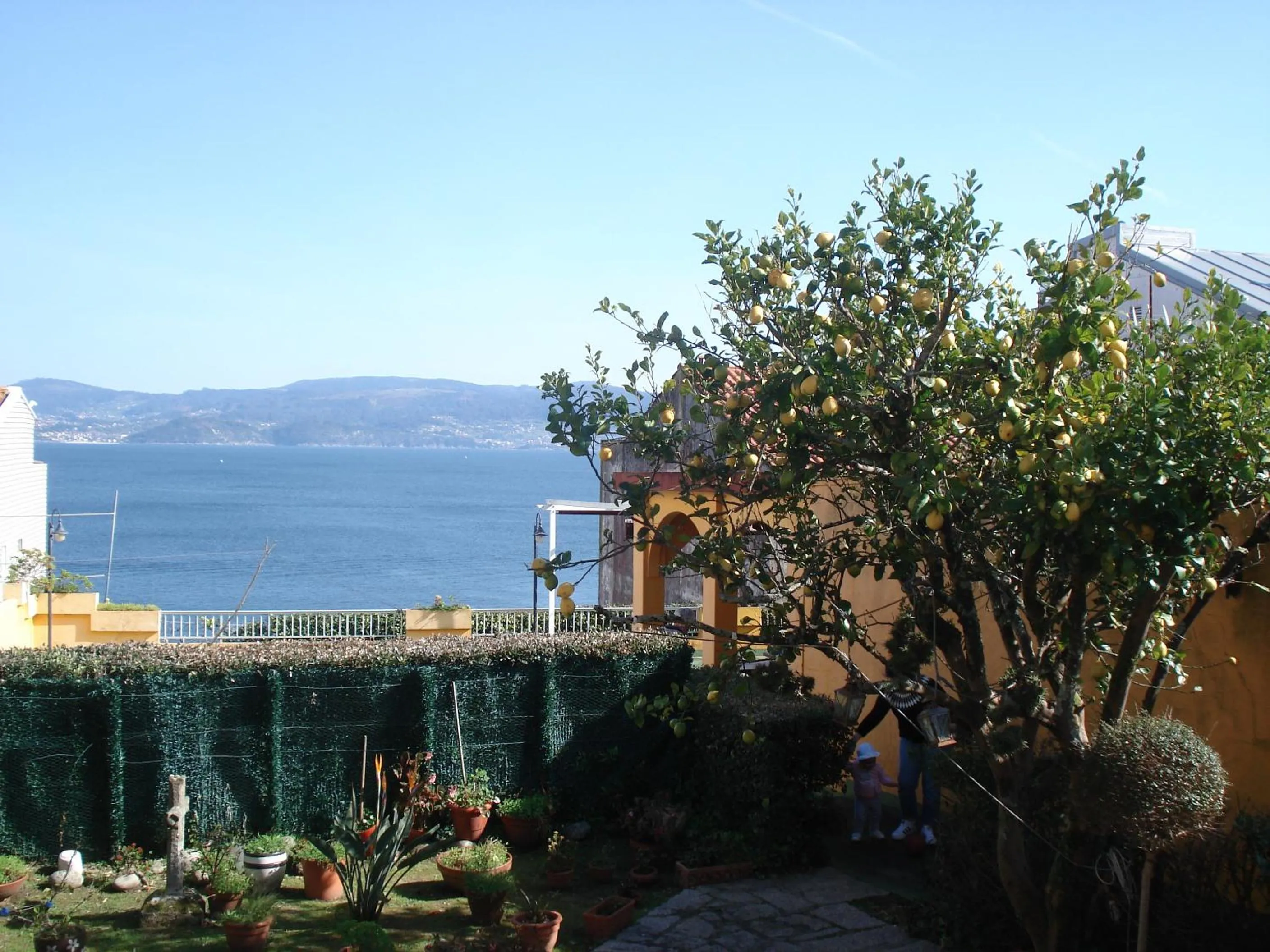 Garden in Hotel Siroco