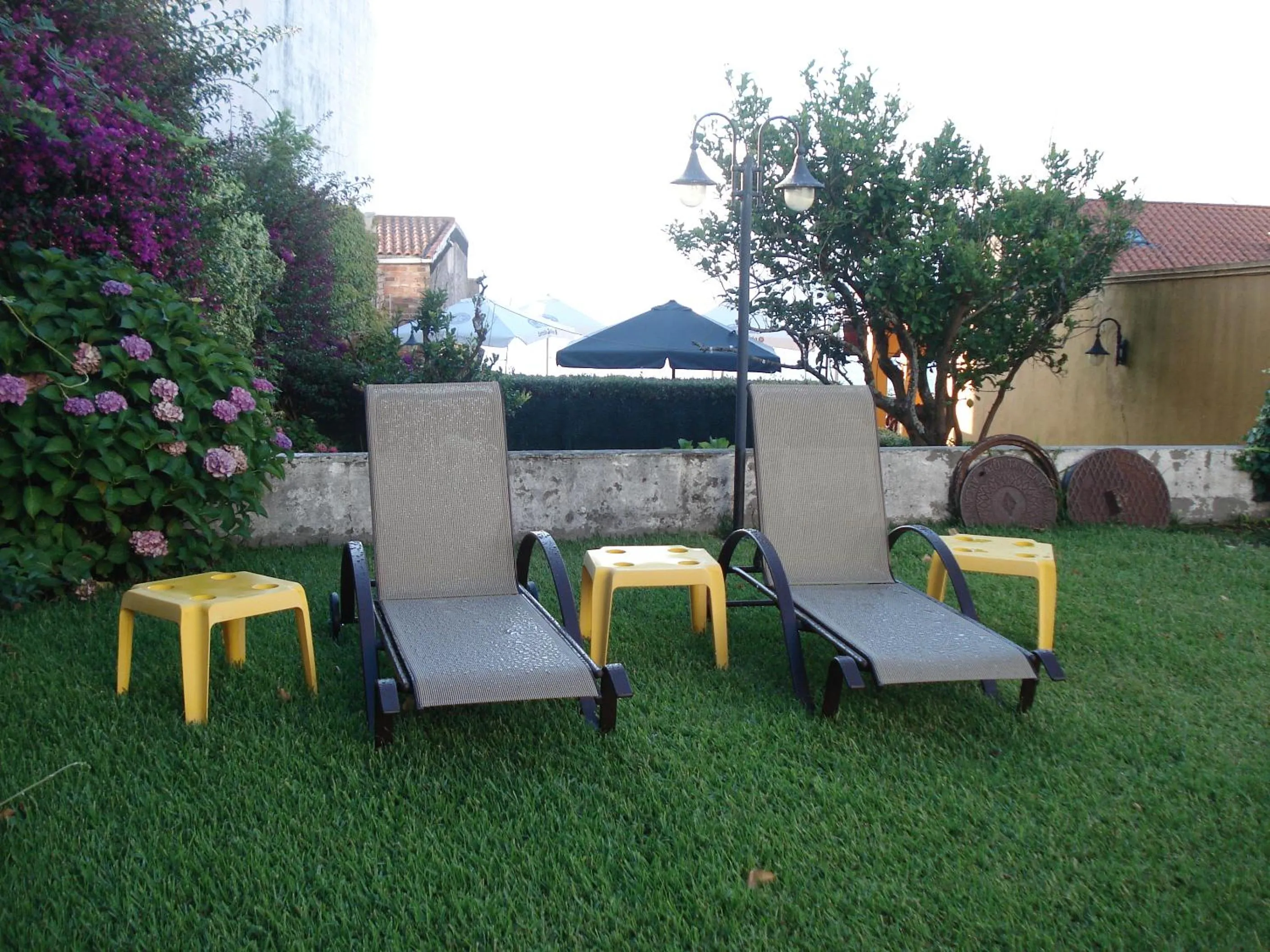 Garden in Hotel Siroco