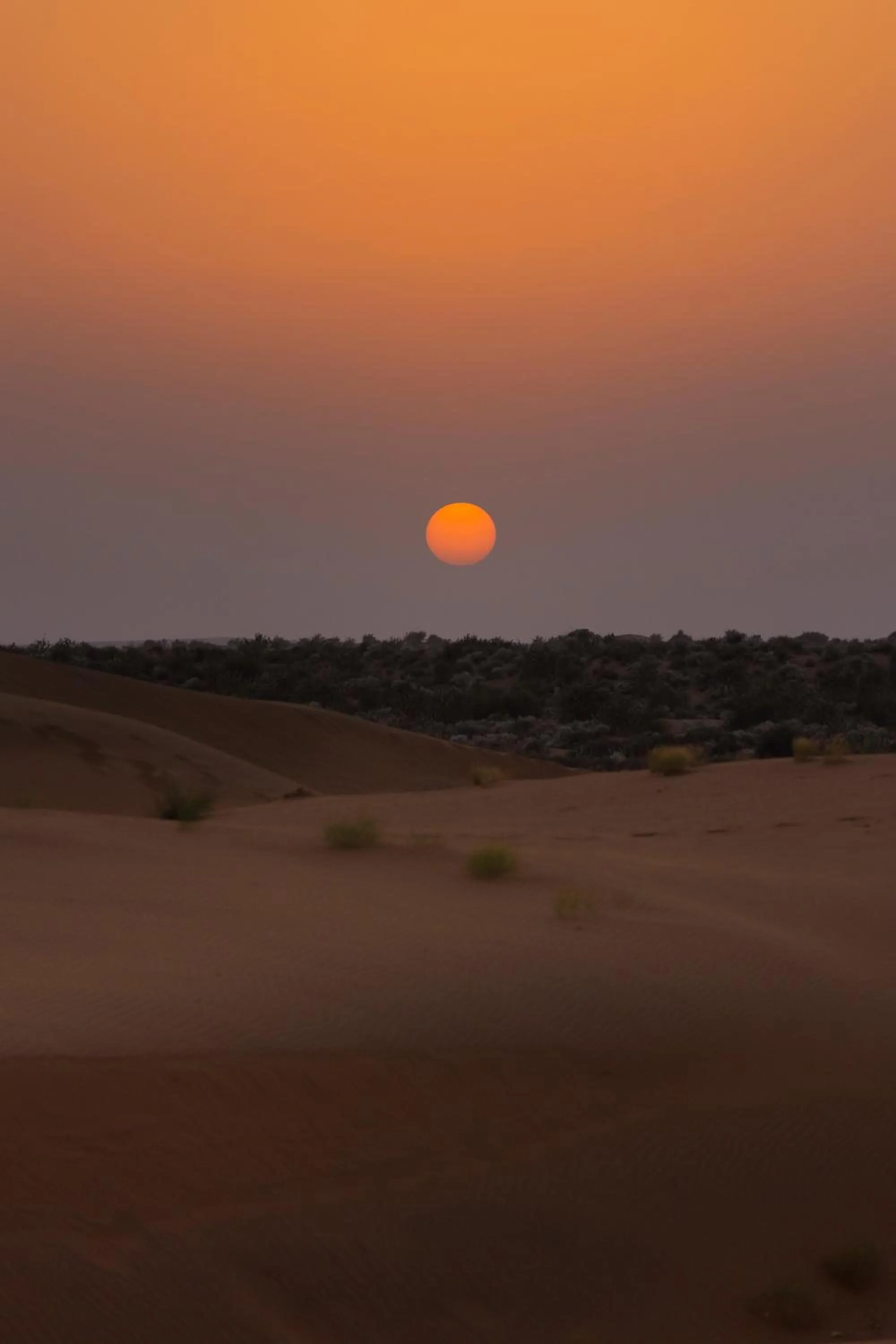 Natural landscape in Casa De Kaku Jaisalmer