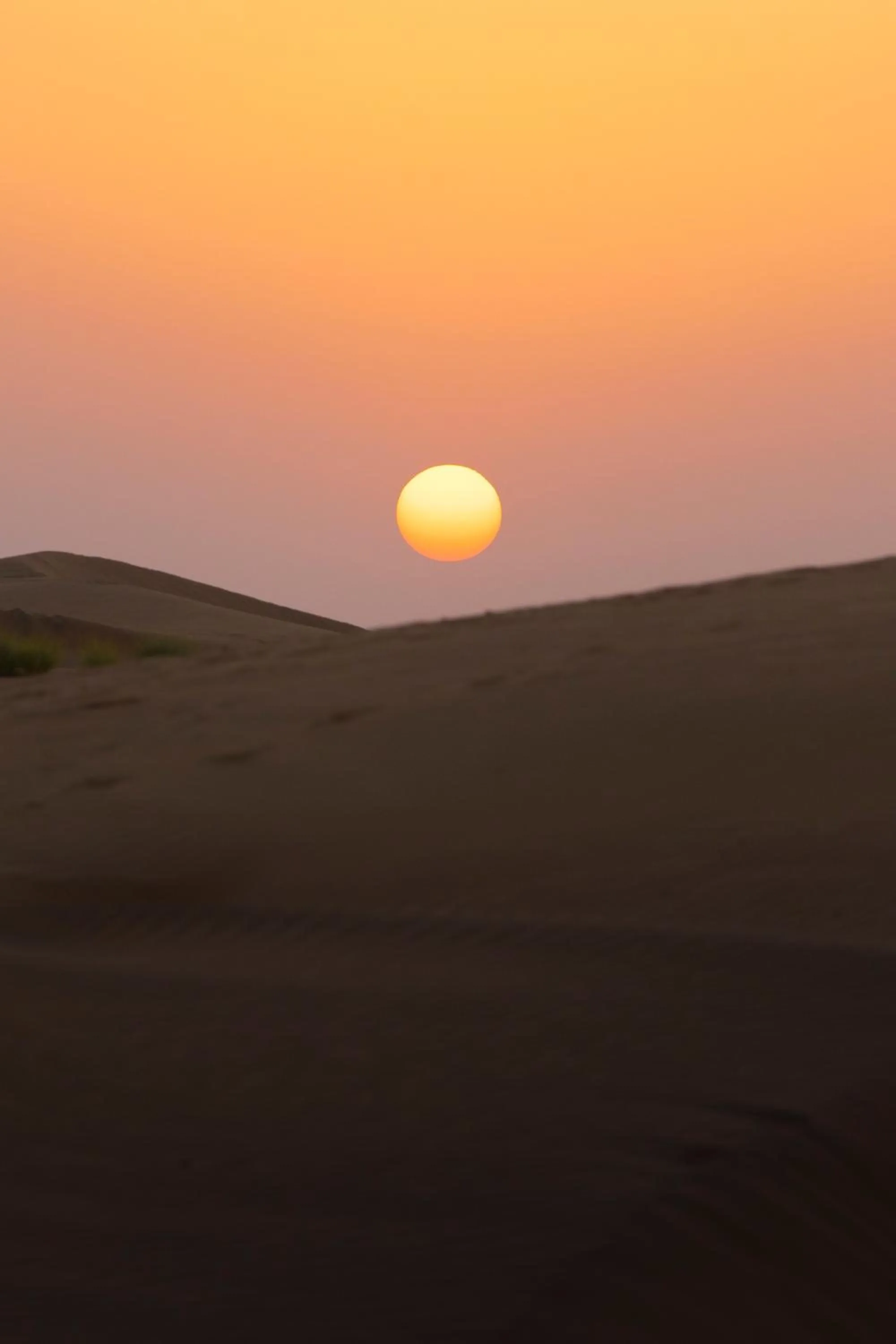 Natural landscape in Casa De Kaku Jaisalmer