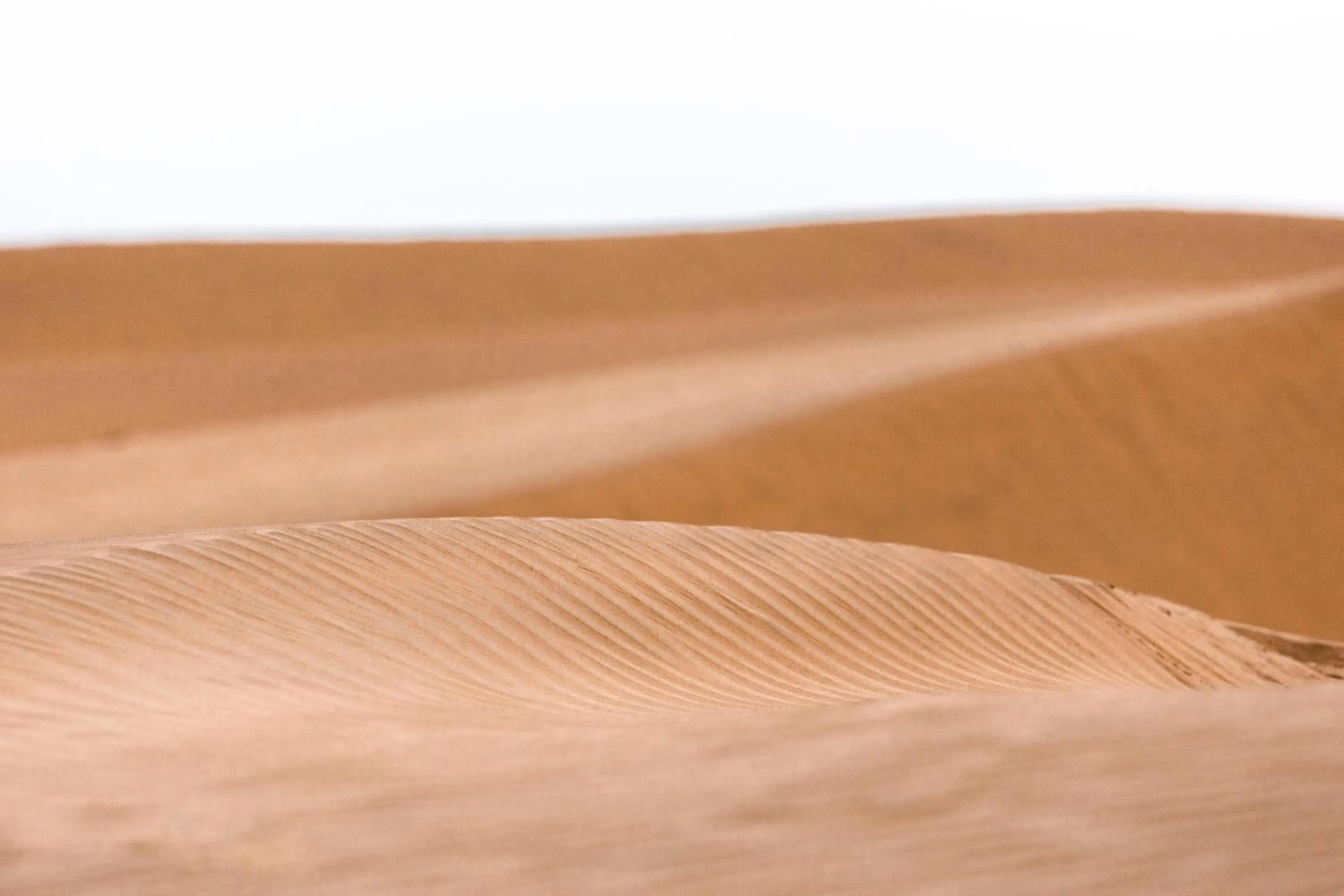 Natural landscape in Casa De Kaku Jaisalmer