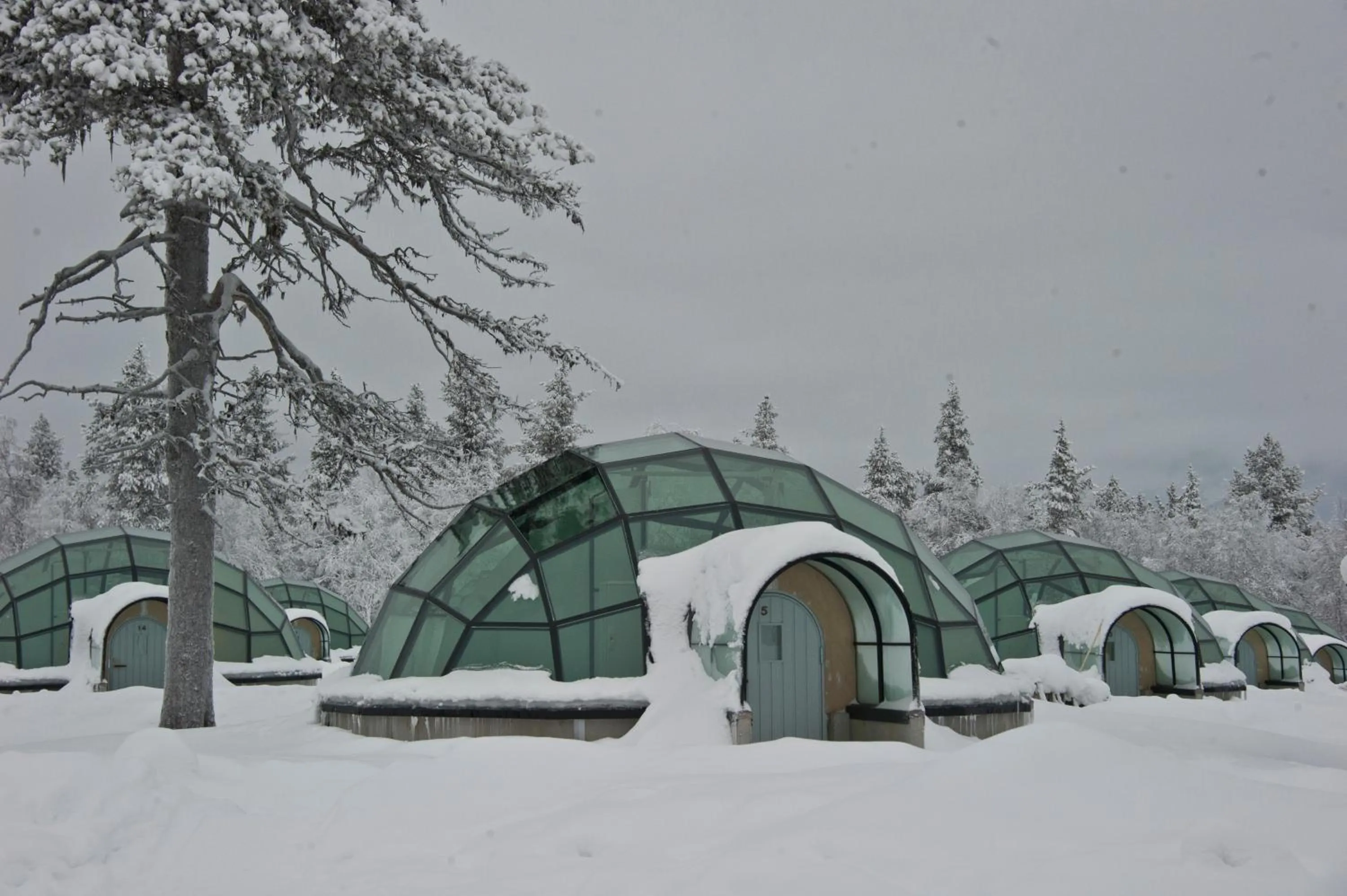 Winter in Kakslauttanen Arctic Resort - Igloos and Chalets