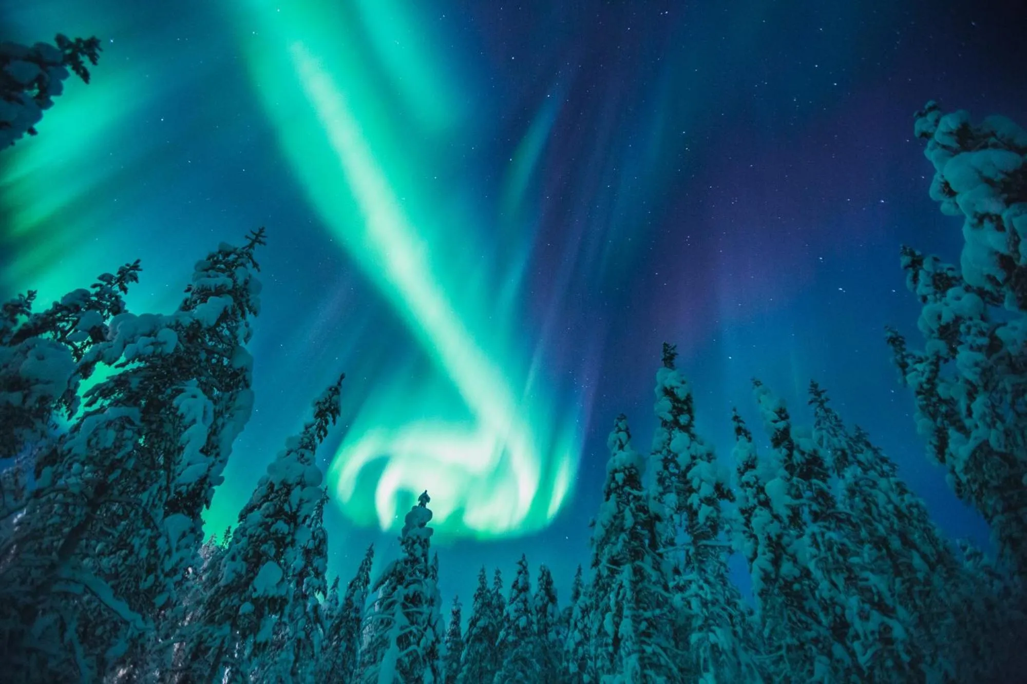 Natural landscape in Kakslauttanen Arctic Resort - Igloos and Chalets