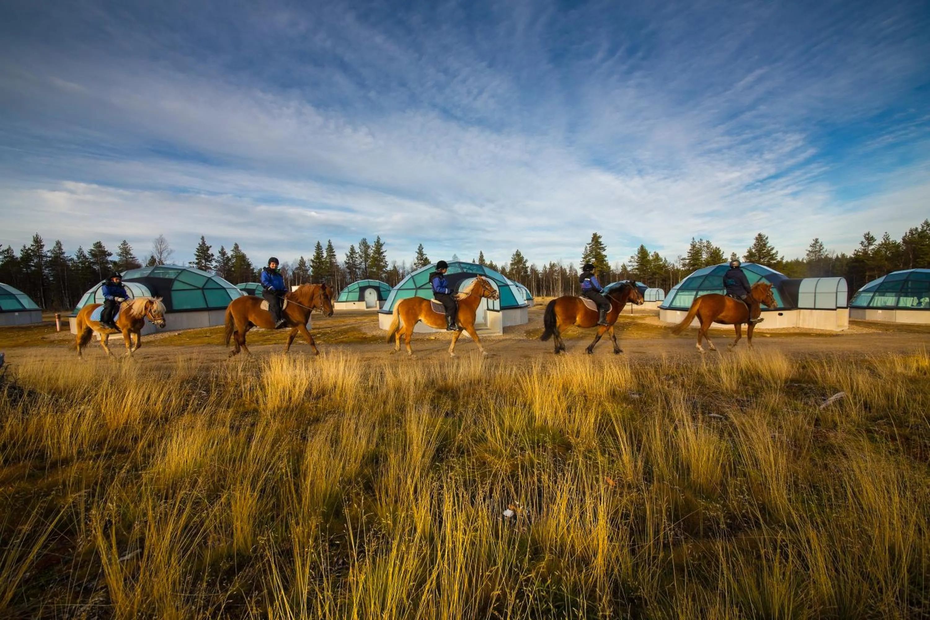 Horse-riding in Kakslauttanen Arctic Resort - Igloos and Chalets