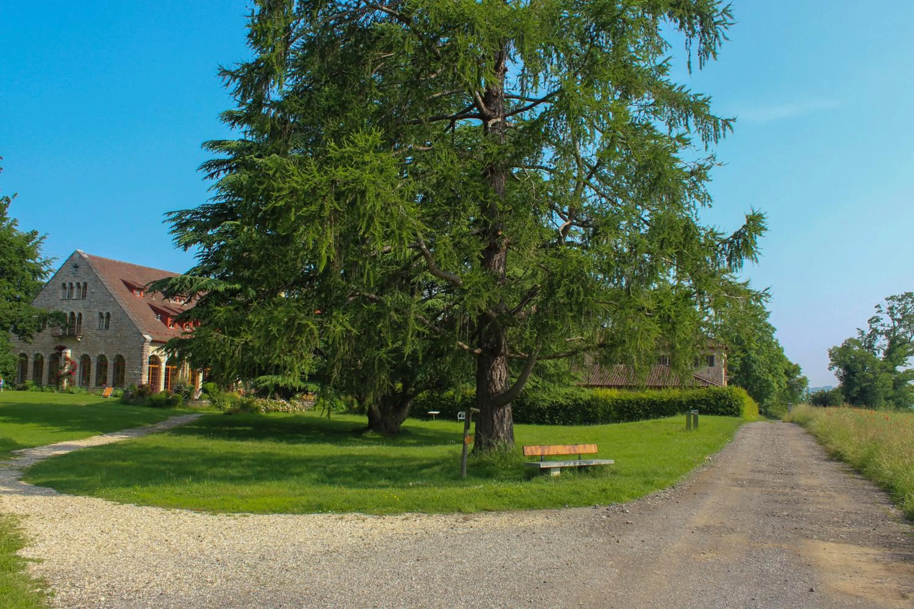Garden in Crêt-Bérard