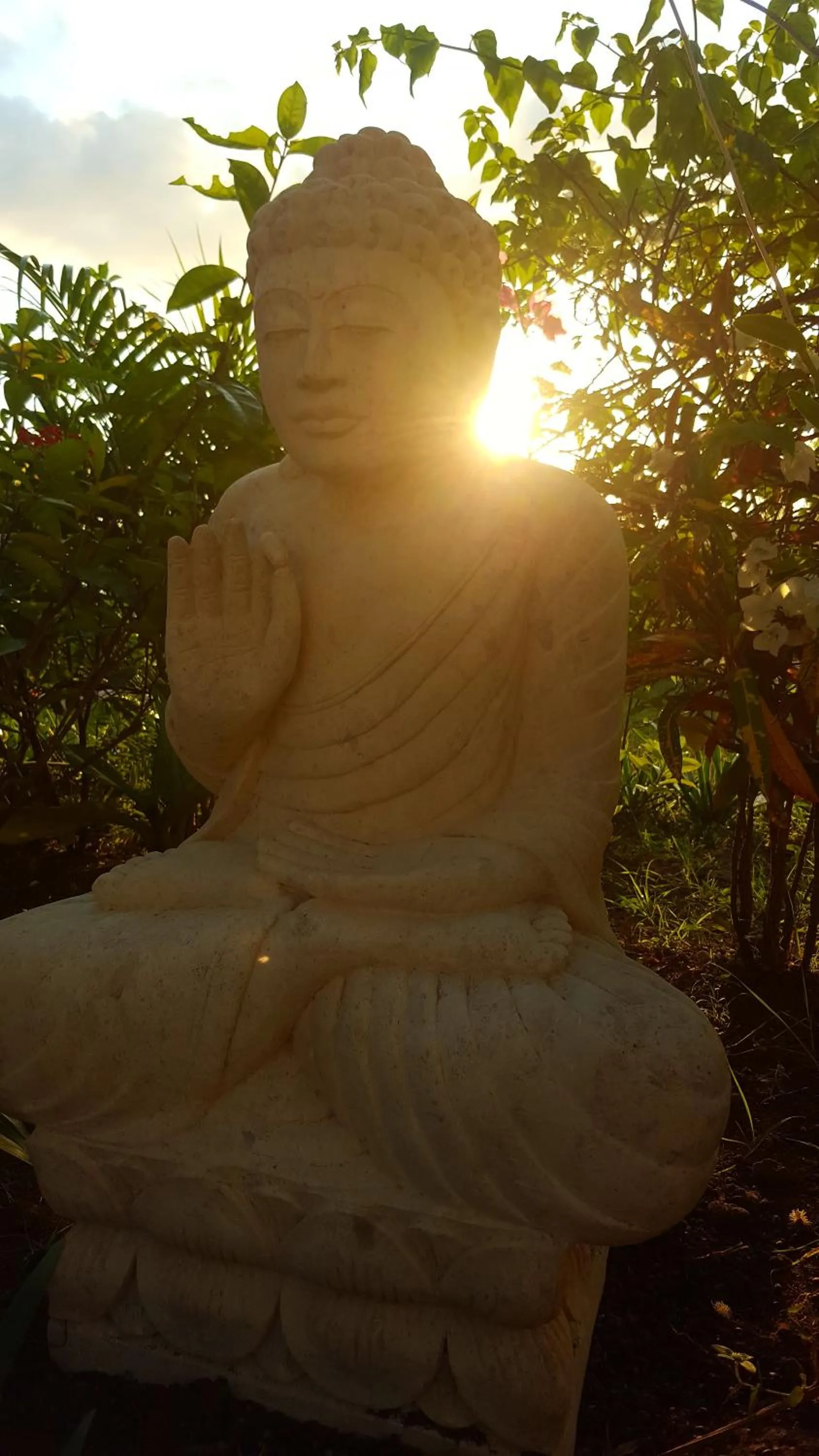 Garden in Villa Kipas Retreat