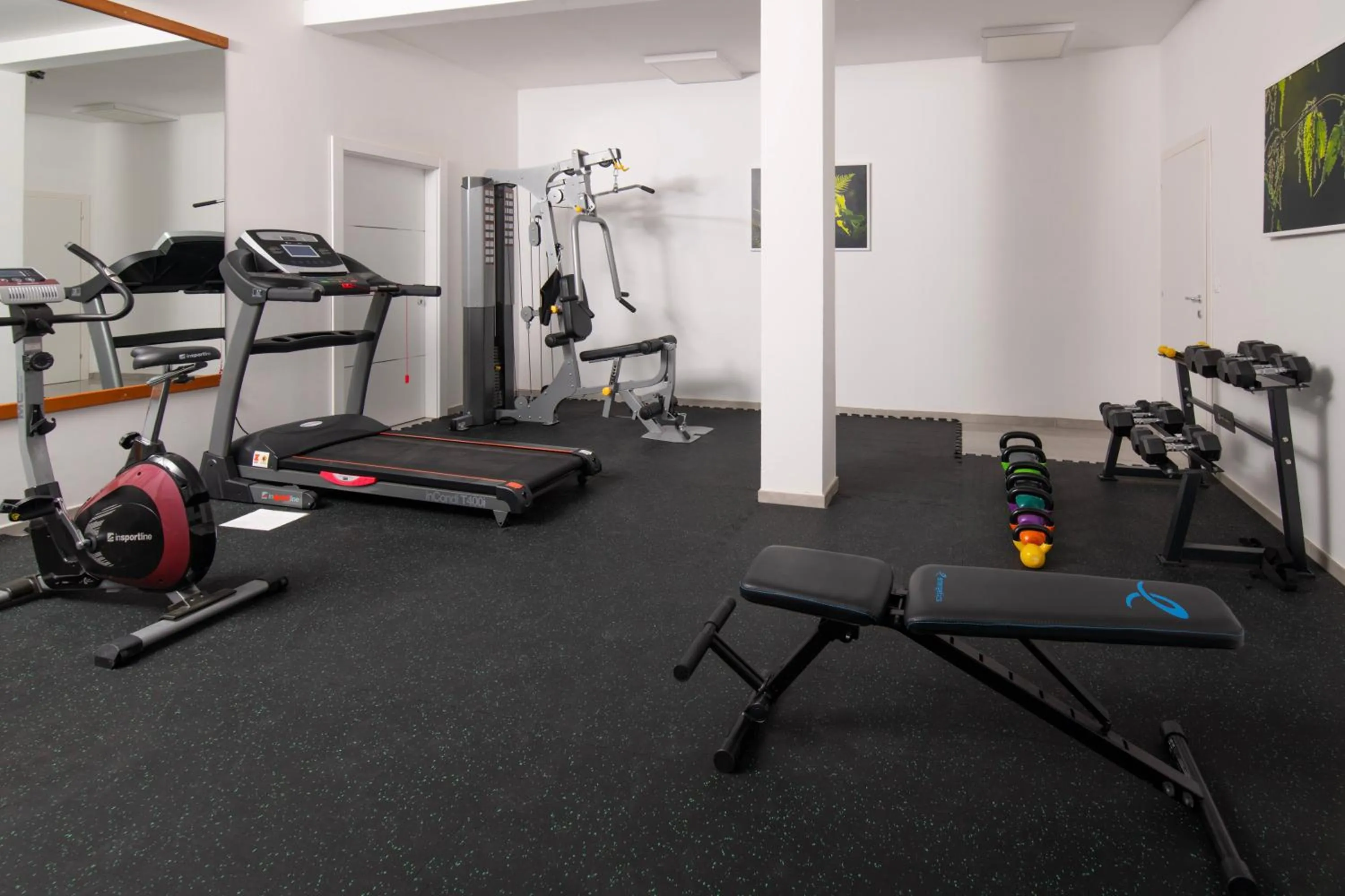 Fitness centre/facilities in Aparthotel Punta Blu - POOL & SPA