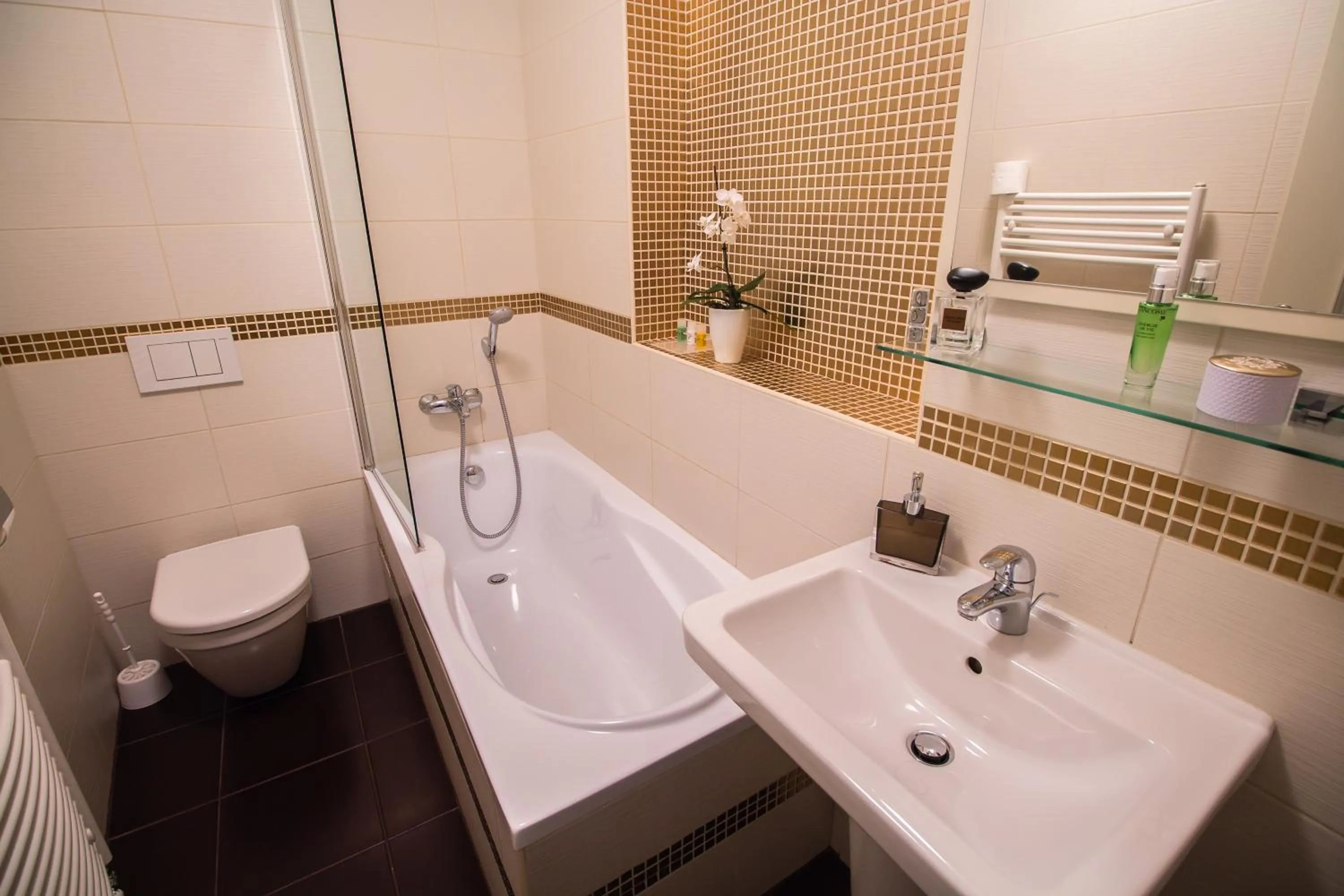 Bathroom in Hotel Peregrin