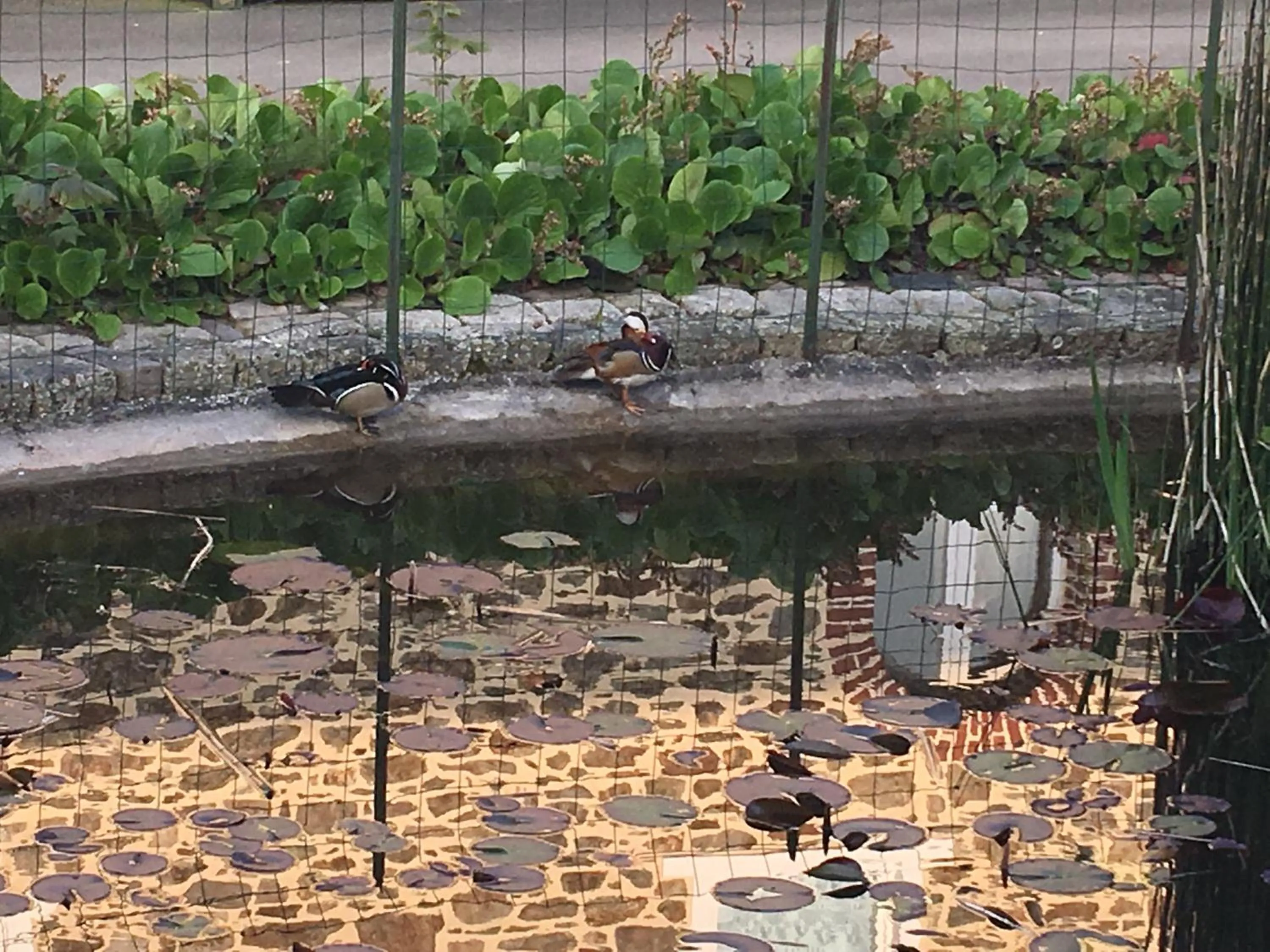 View (from property/room) in Les chambres de La Métairie du Dick