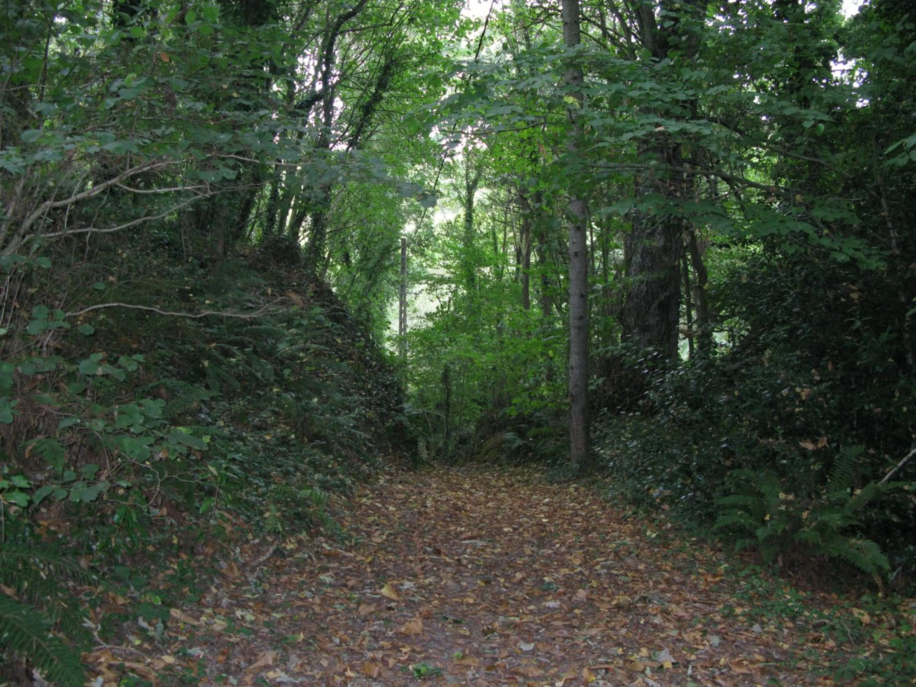 Activities in Les chambres de La Métairie du Dick