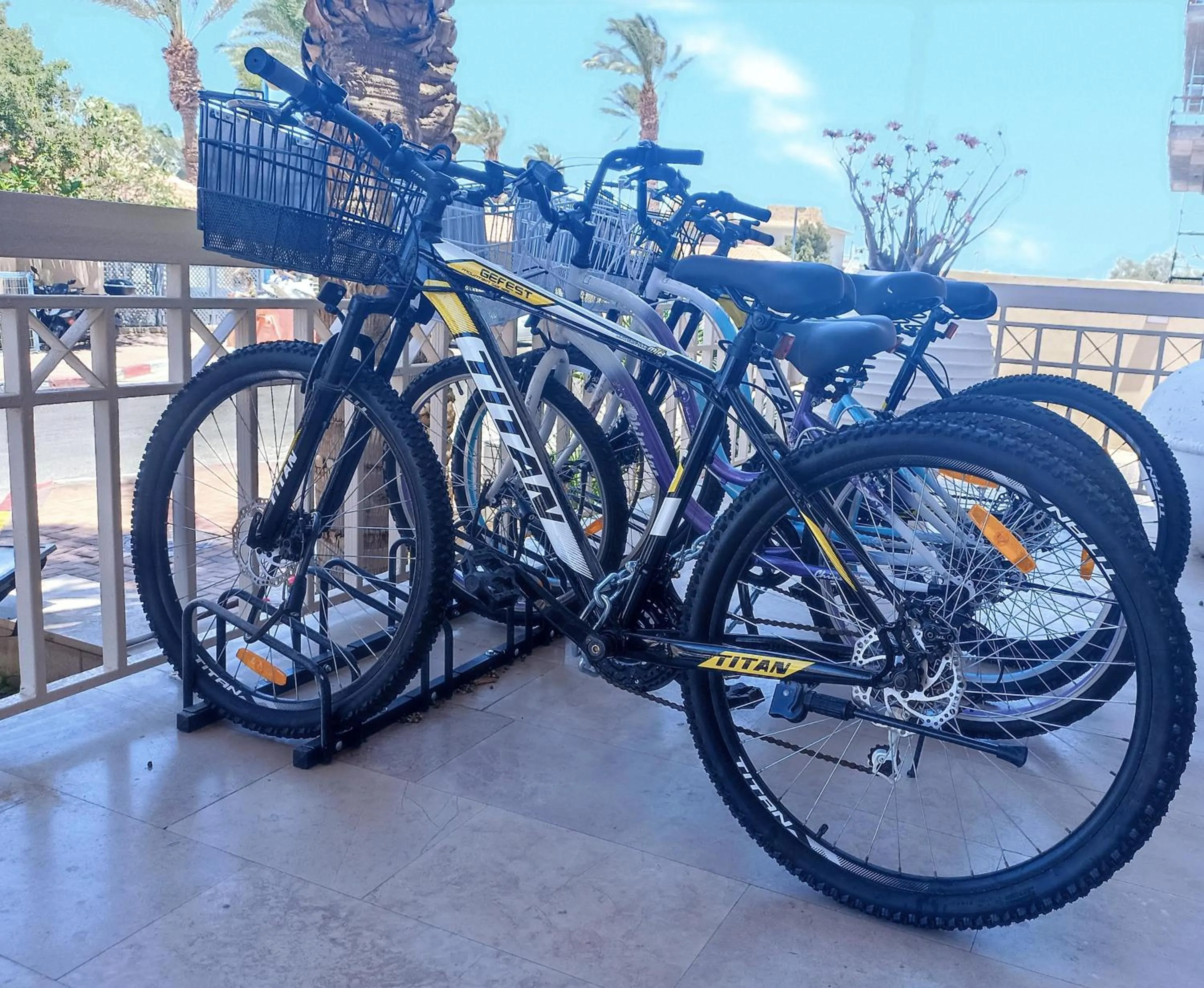 Cycling in Brown Eilat a member of Brown Hotels