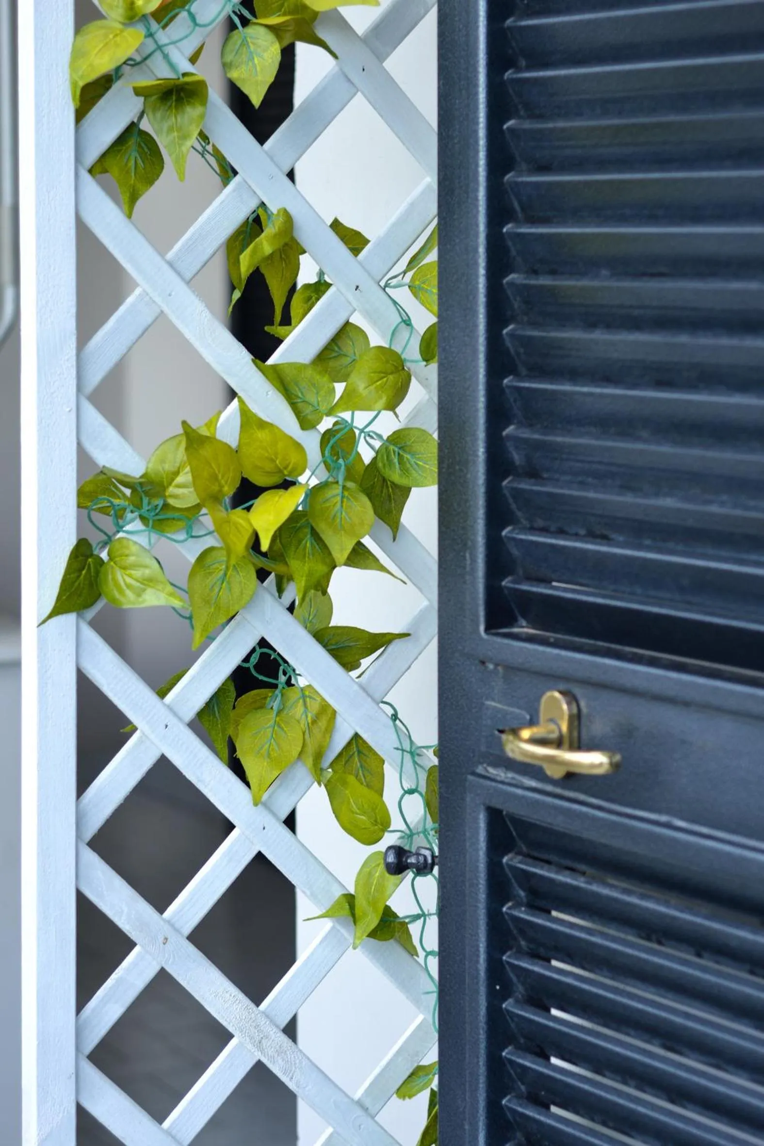Balcony/Terrace in Pompei Gryllus
