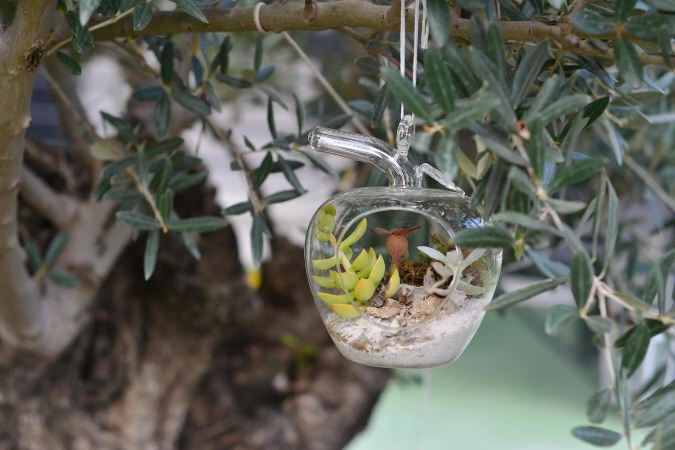 Garden in Pompei Gryllus