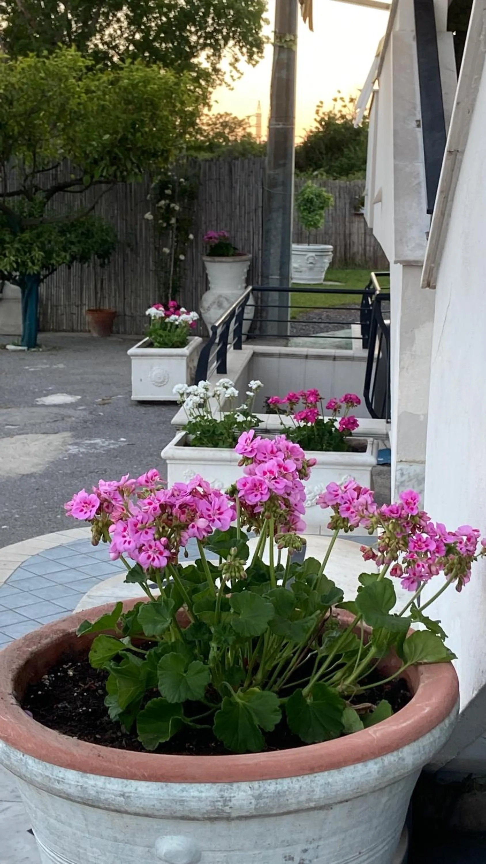 Patio in Pompei Gryllus