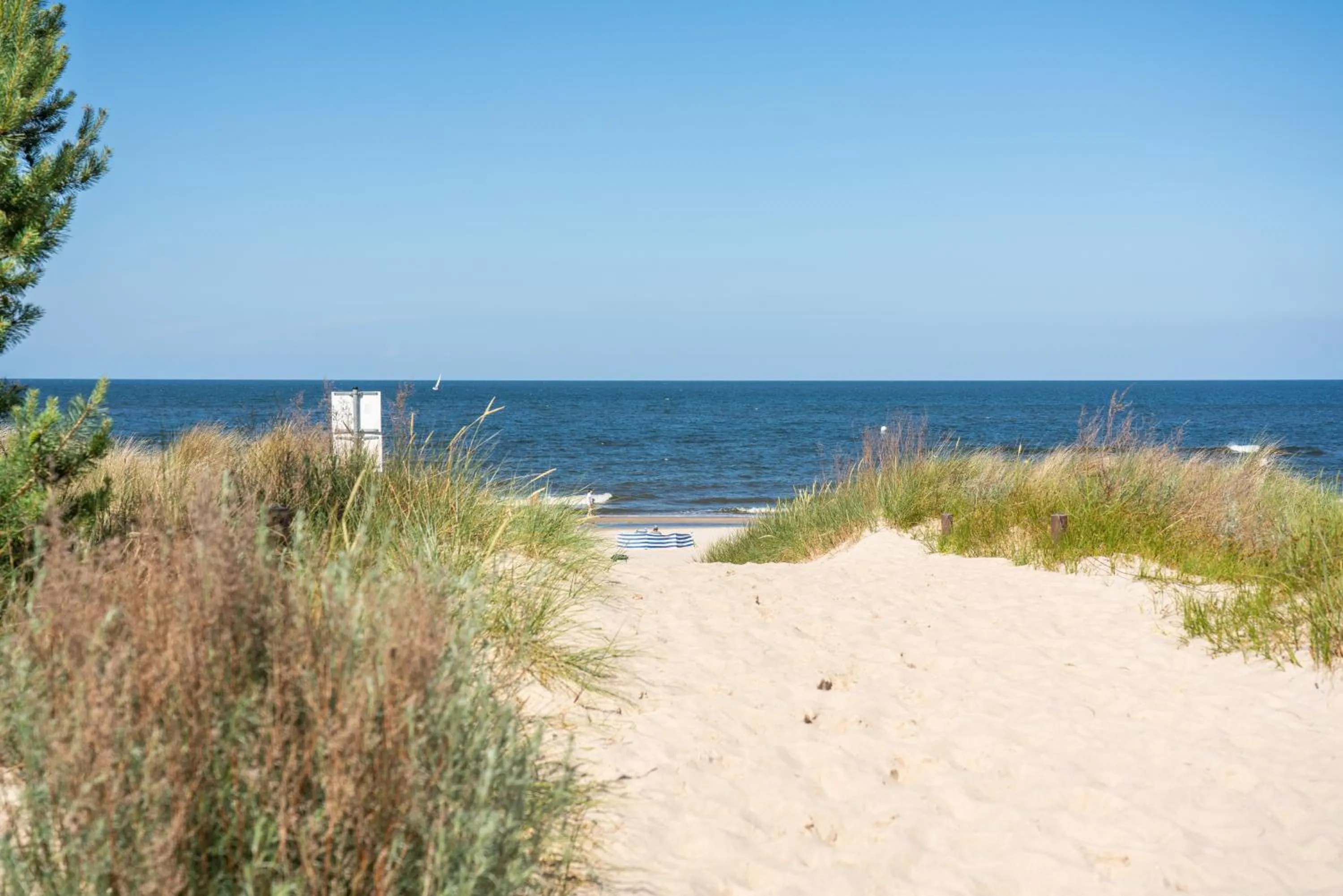 Natural landscape in Hotel Kaliebe