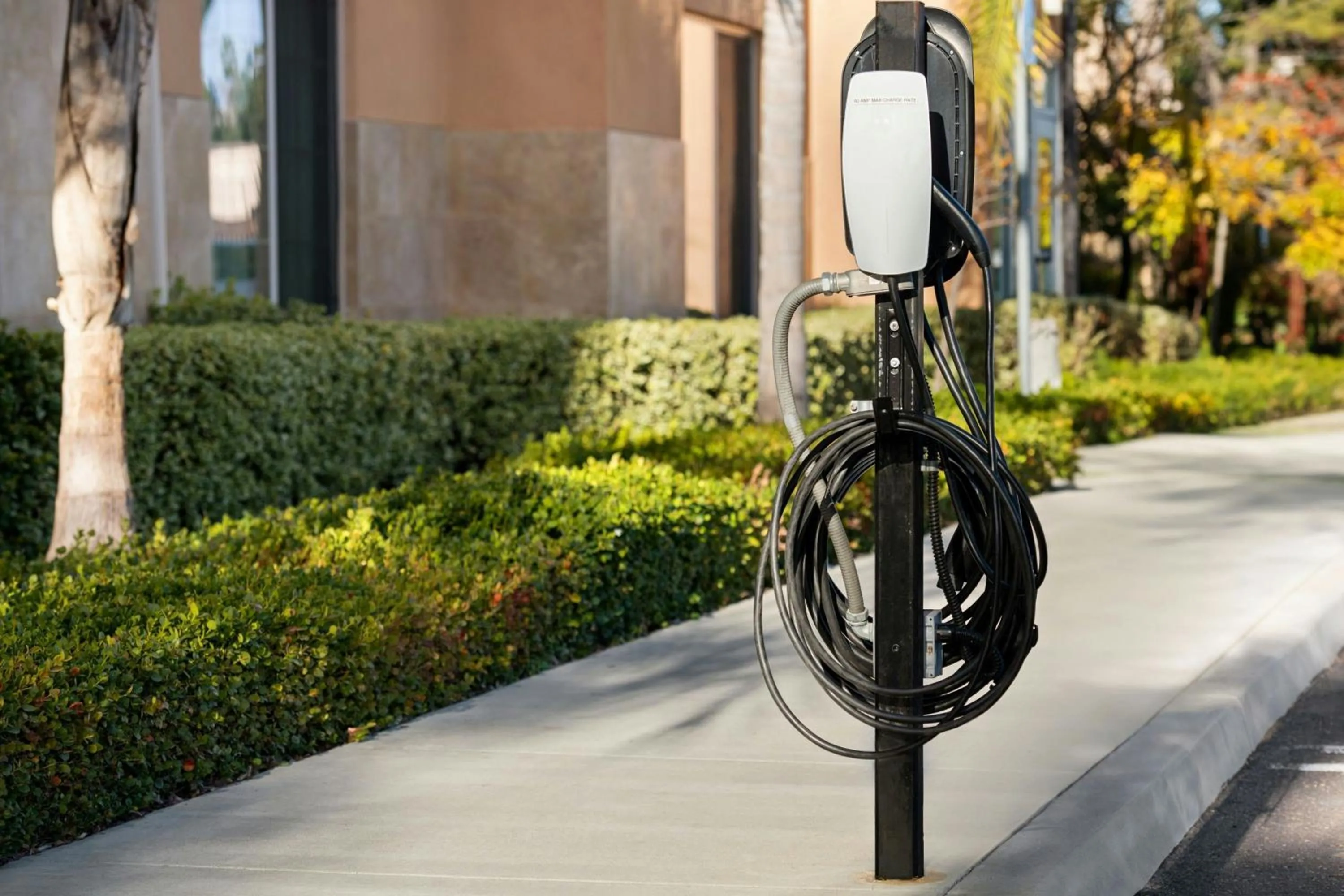 Other in TownePlace Suites by Marriott San Diego Carlsbad / Vista